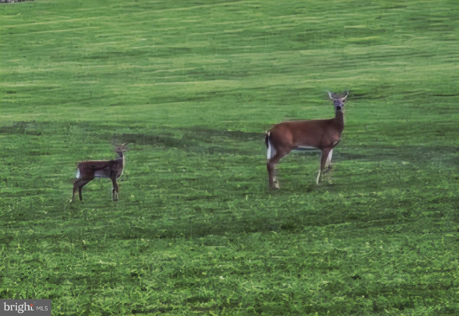 2071 BURKHOLDER ROAD