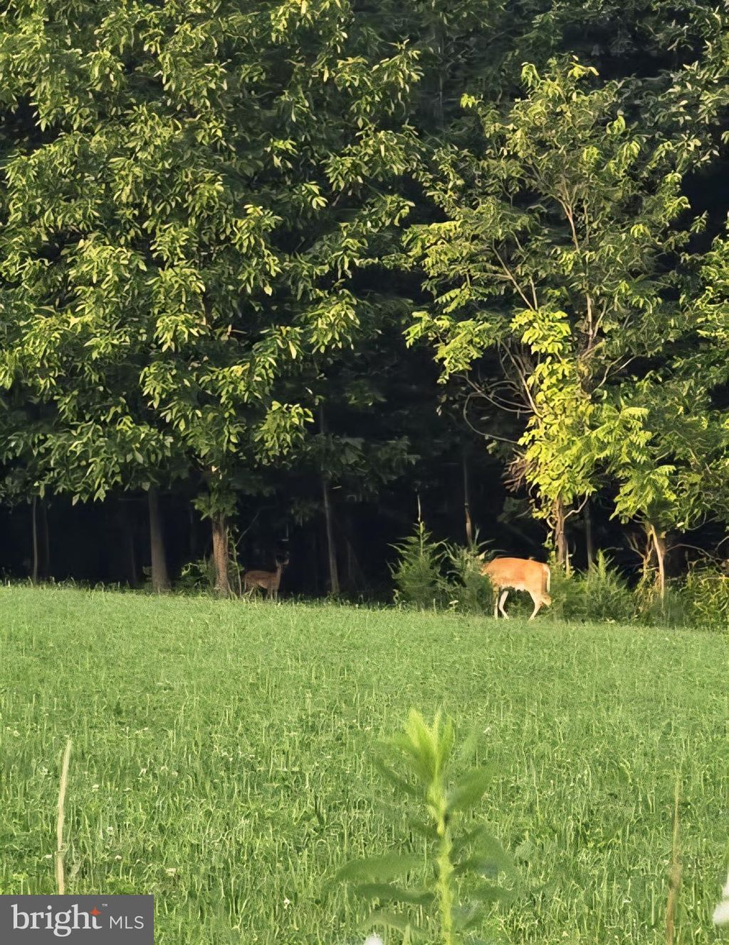 Photo of 2071 Burkholder Road, RED LION, PA 17356 (MLS # PAYK2095282)