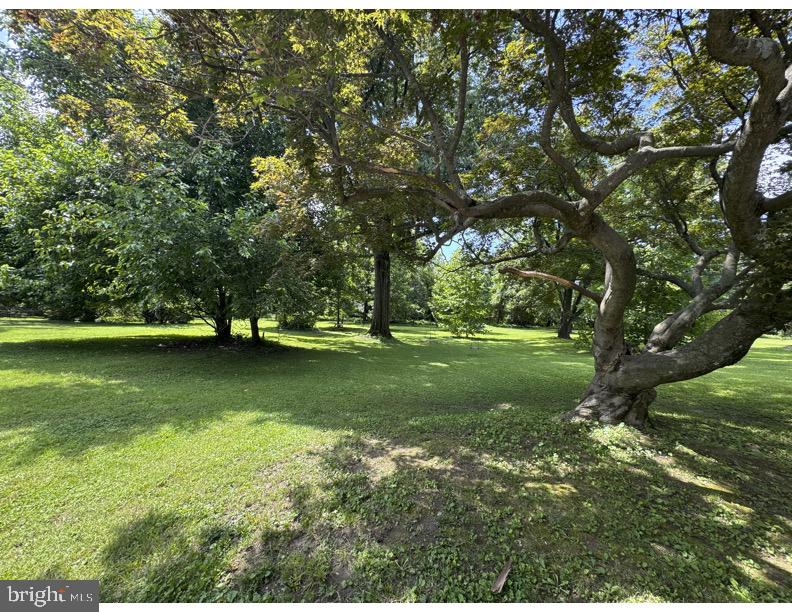 MOUNT WASHINGTON - Residential Lease