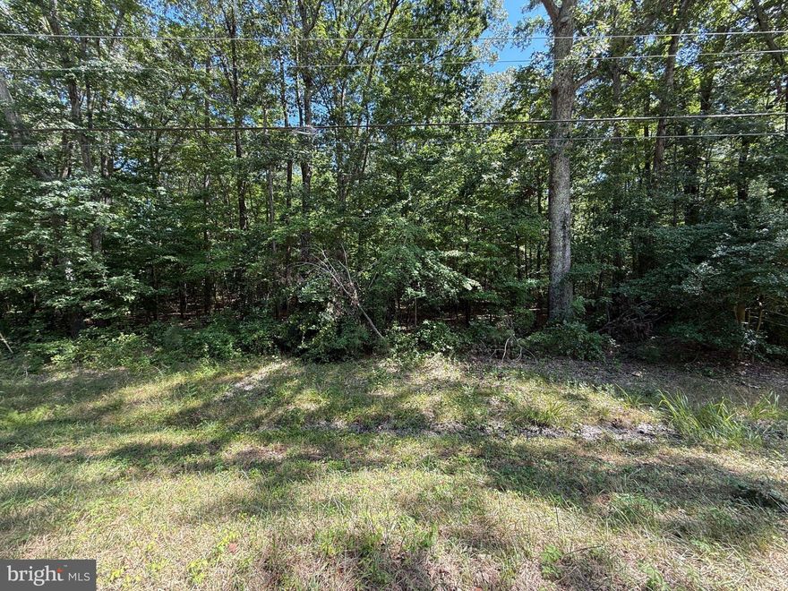 3.57 acres of residential land located on Piney Point Rd (MD-249) in Valley Lee, St. Mary’s County. This parcel offers a great opportunity to build your custom home in a peaceful setting just 1.5 miles from Tall Timbers Marina, providing easy access to boating and waterfront recreation on the Potomac River. Conveniently situated within driving distance to California, Lexington Park, and King George, VA. Lot includes two tax parcels sold together. Zoning: Residential. Buyer to verify allowable uses, permits, and utility availability.