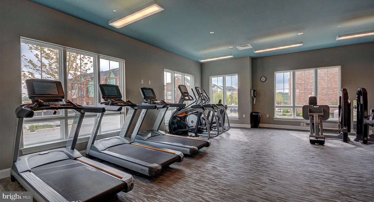 OXFORD SQUARE - Residential