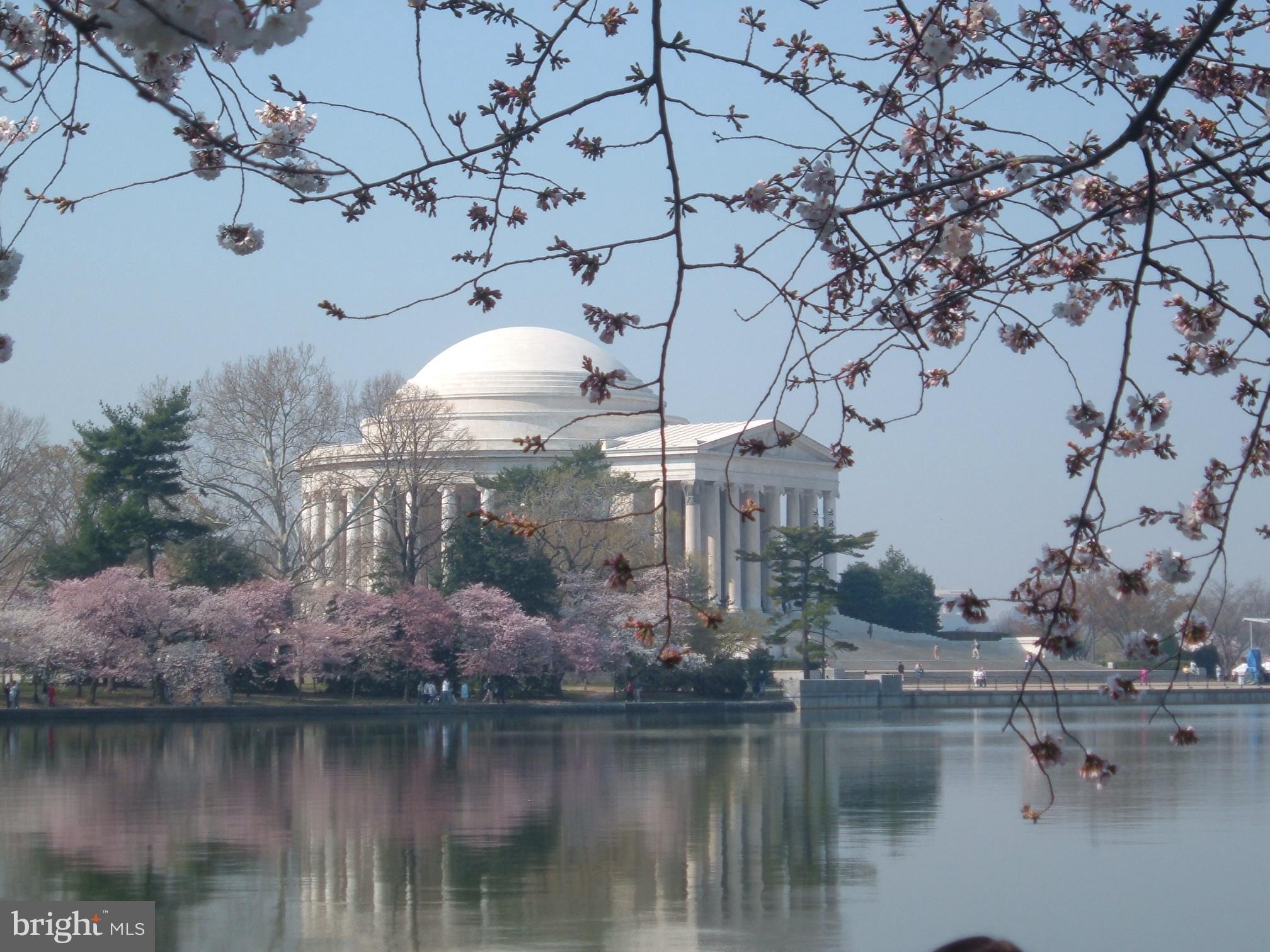 CAPE ST CLAIRE - Residential