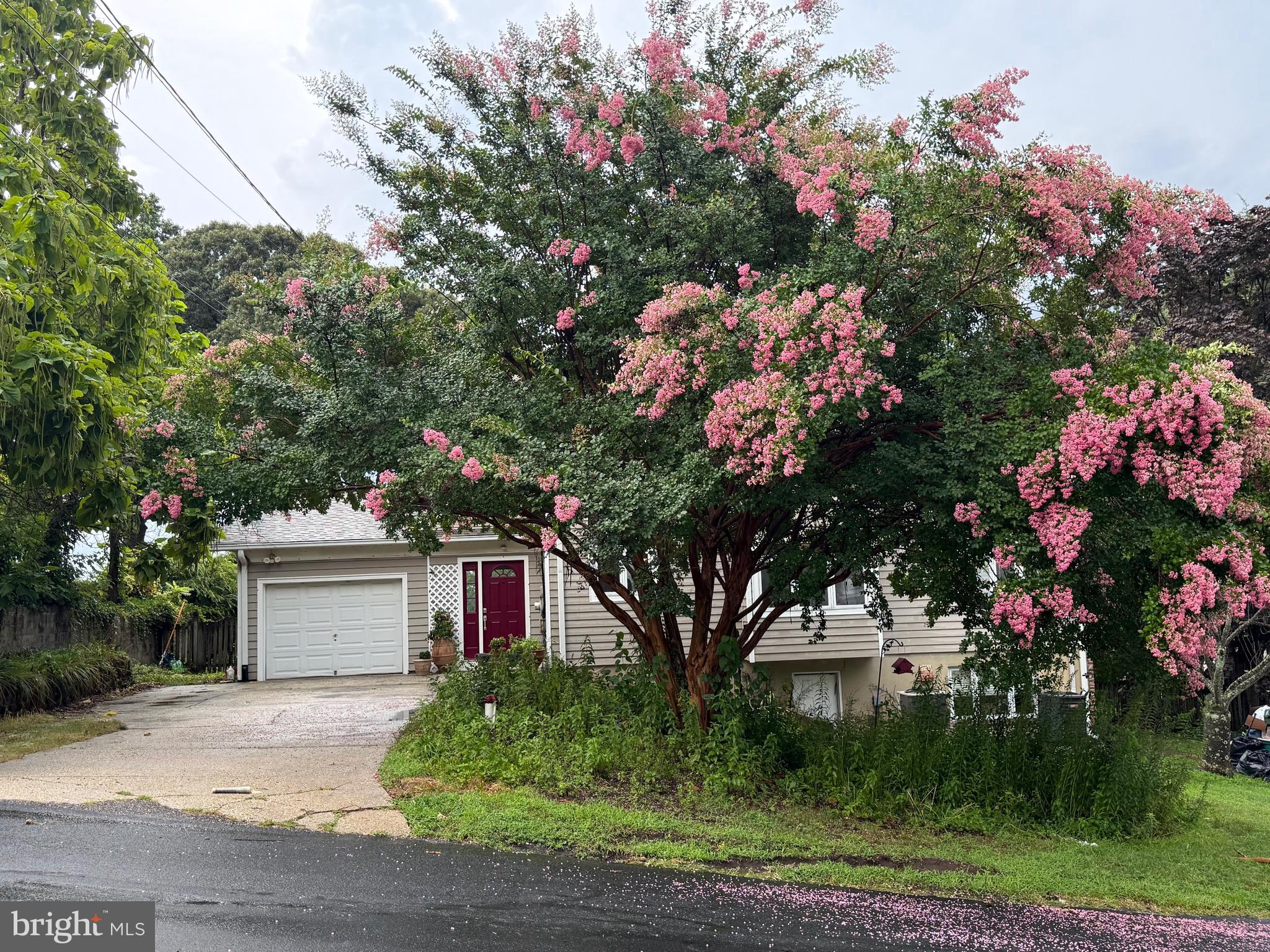 CAPE ST CLAIRE - Residential