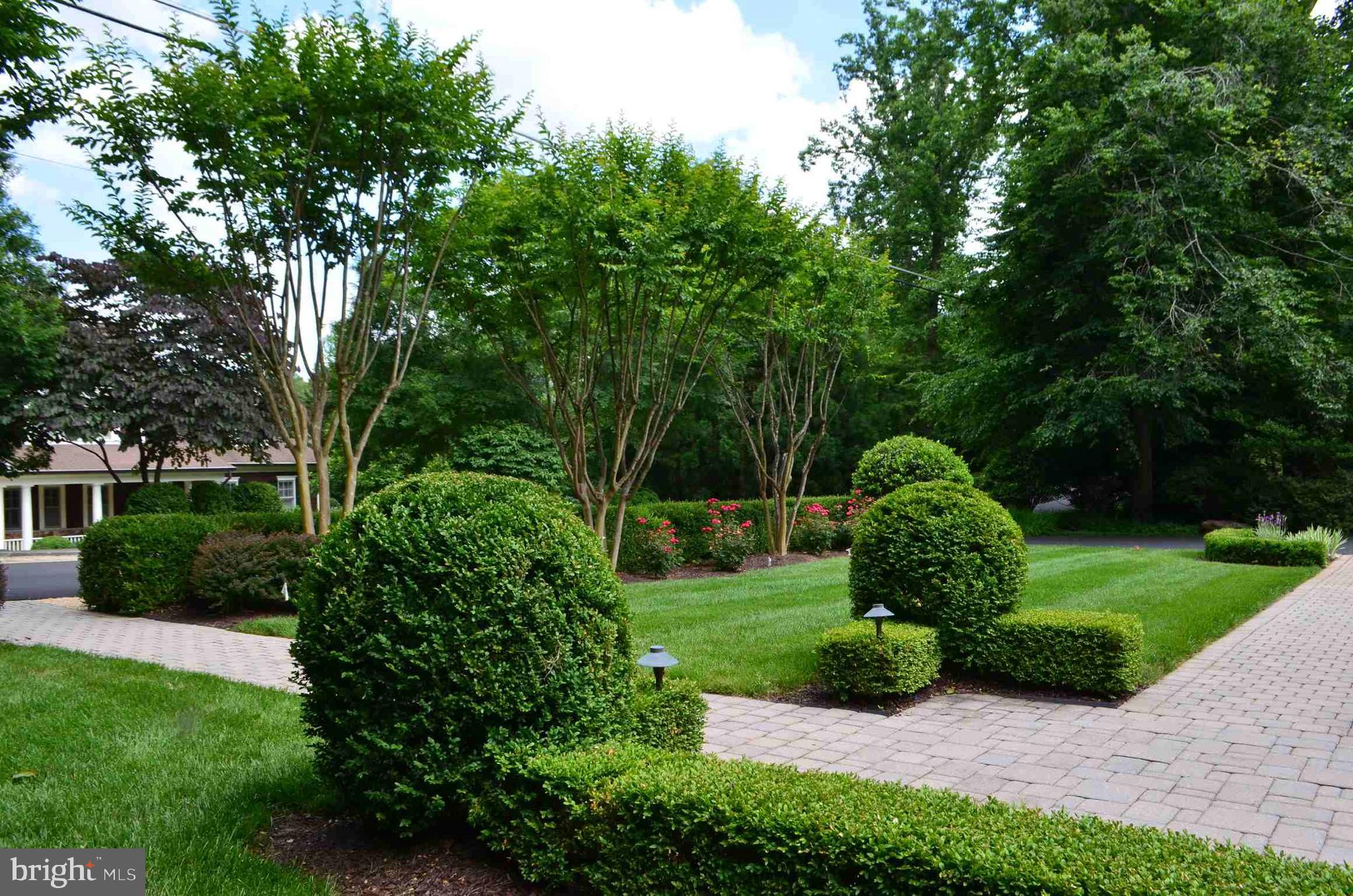 LANGLEY FOREST - Residential