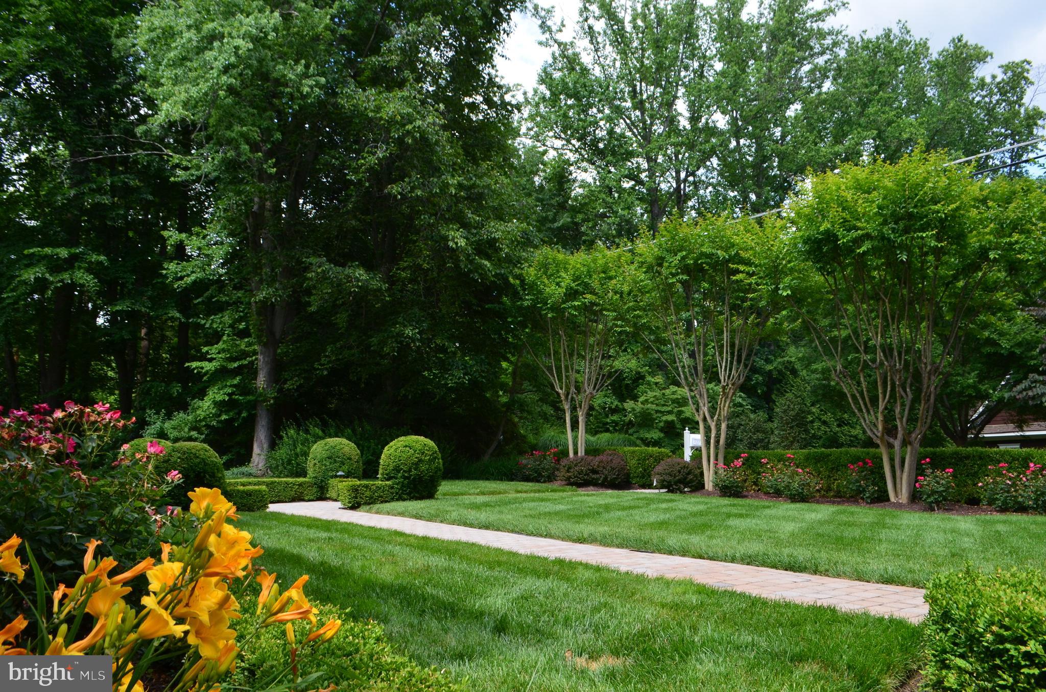 LANGLEY FOREST - Residential