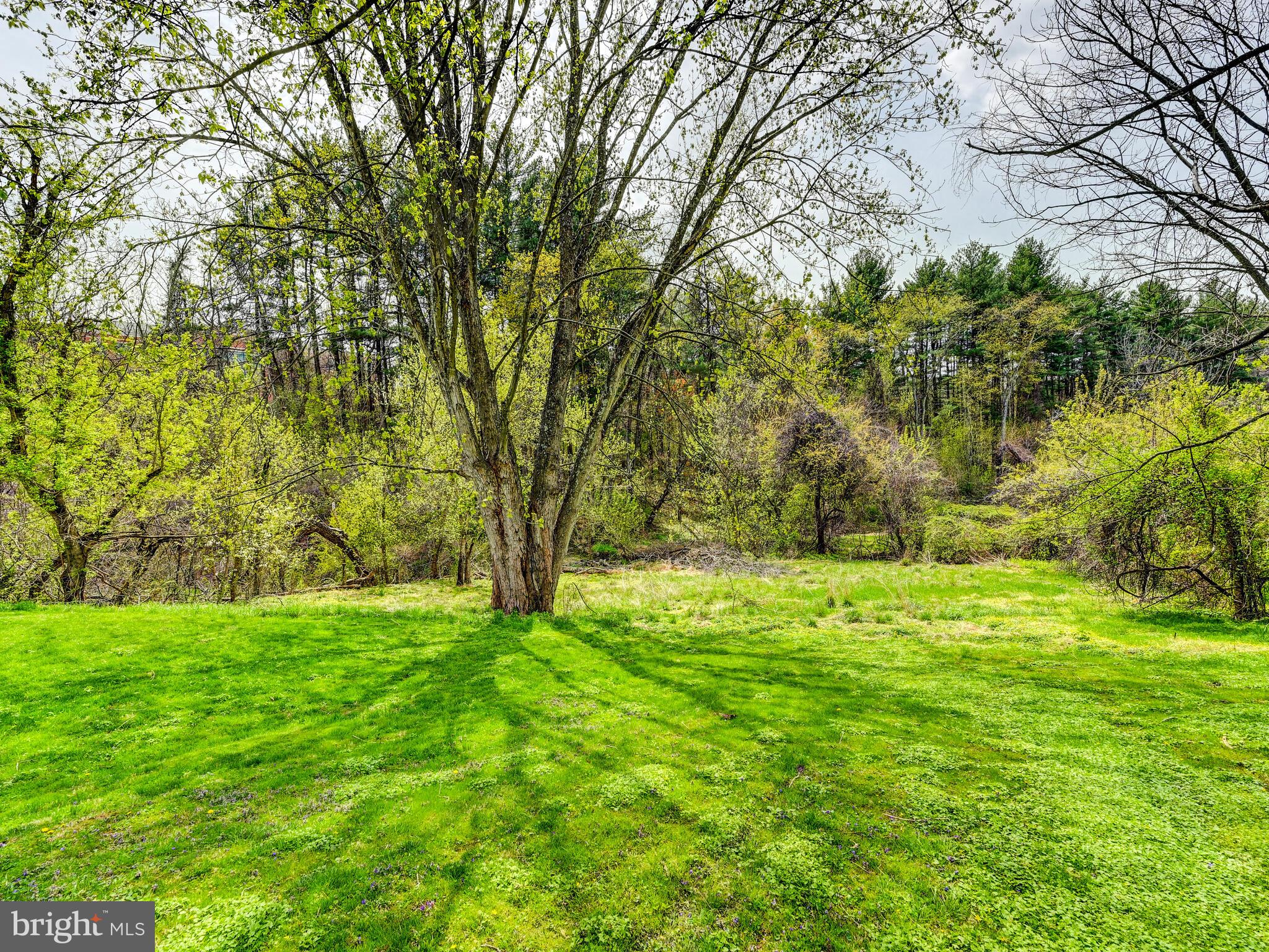 SPARKS GLENCOE - Residential