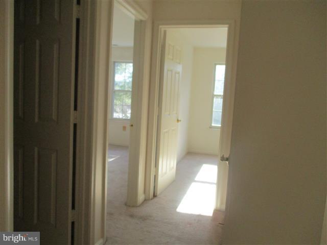 TAYLOR RIDGE - Residential