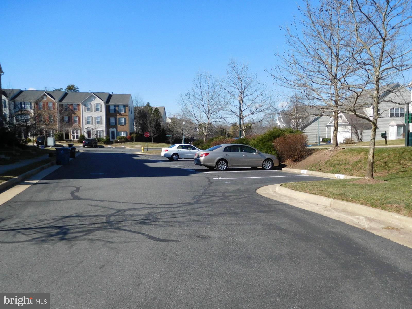 BRAEMAR - Residential Lease