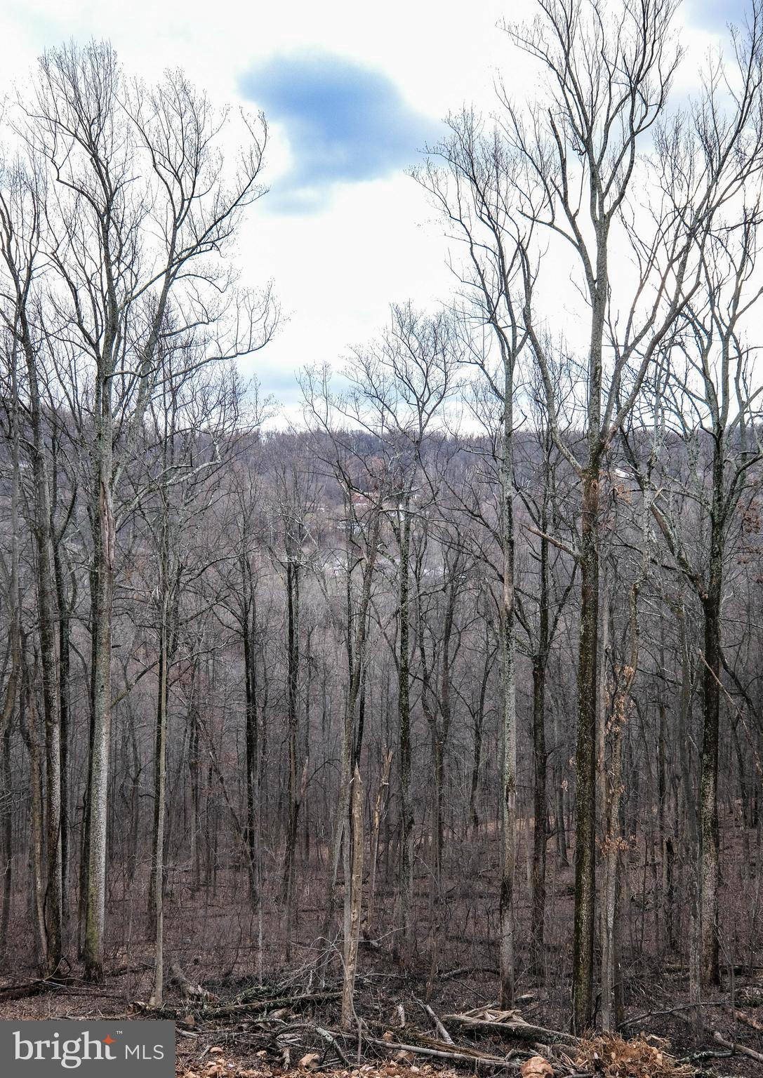 SHEN FARMS MT VIEW - Residential