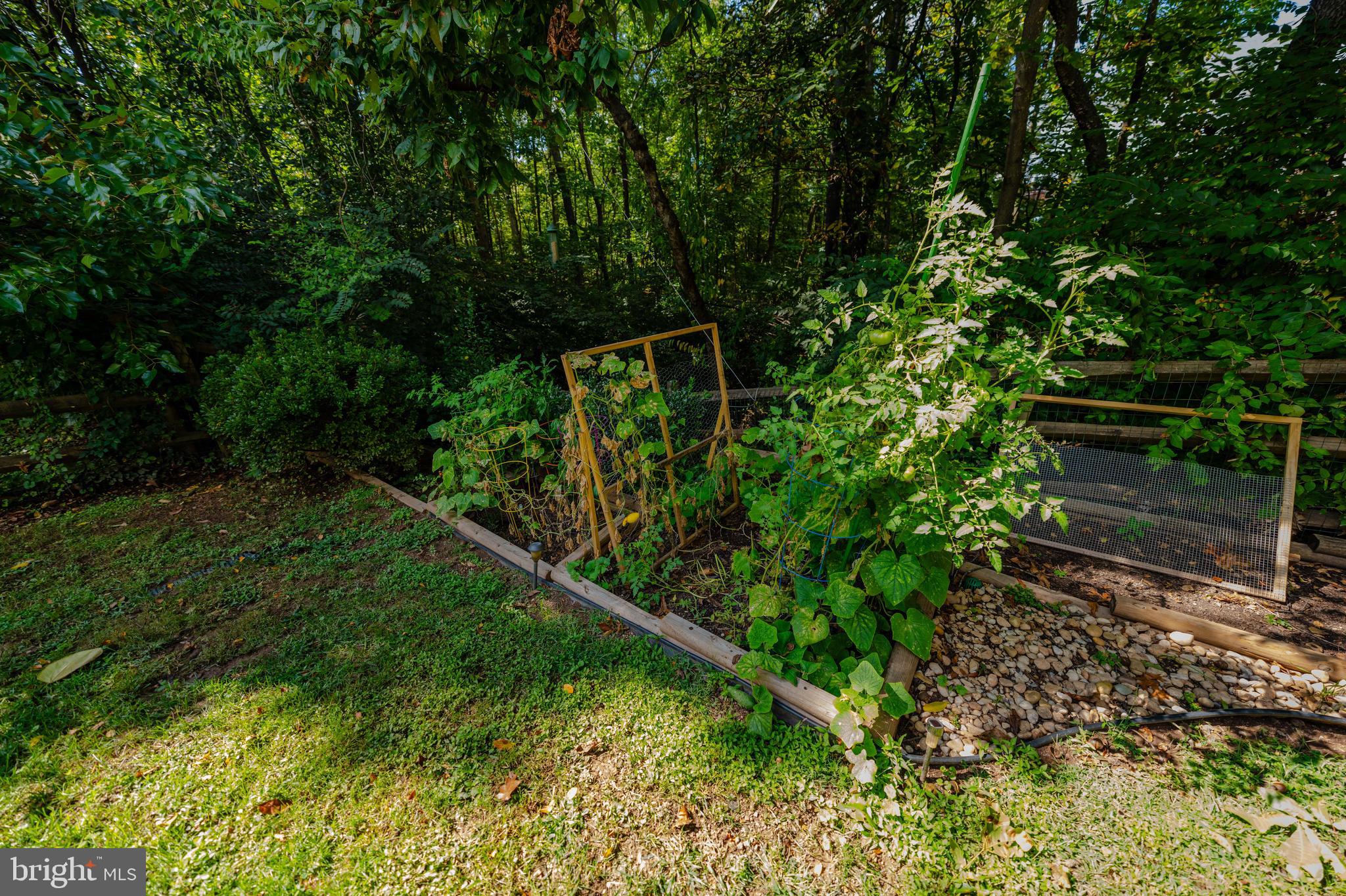 WELLINGTON/CLOVERHILL - Residential