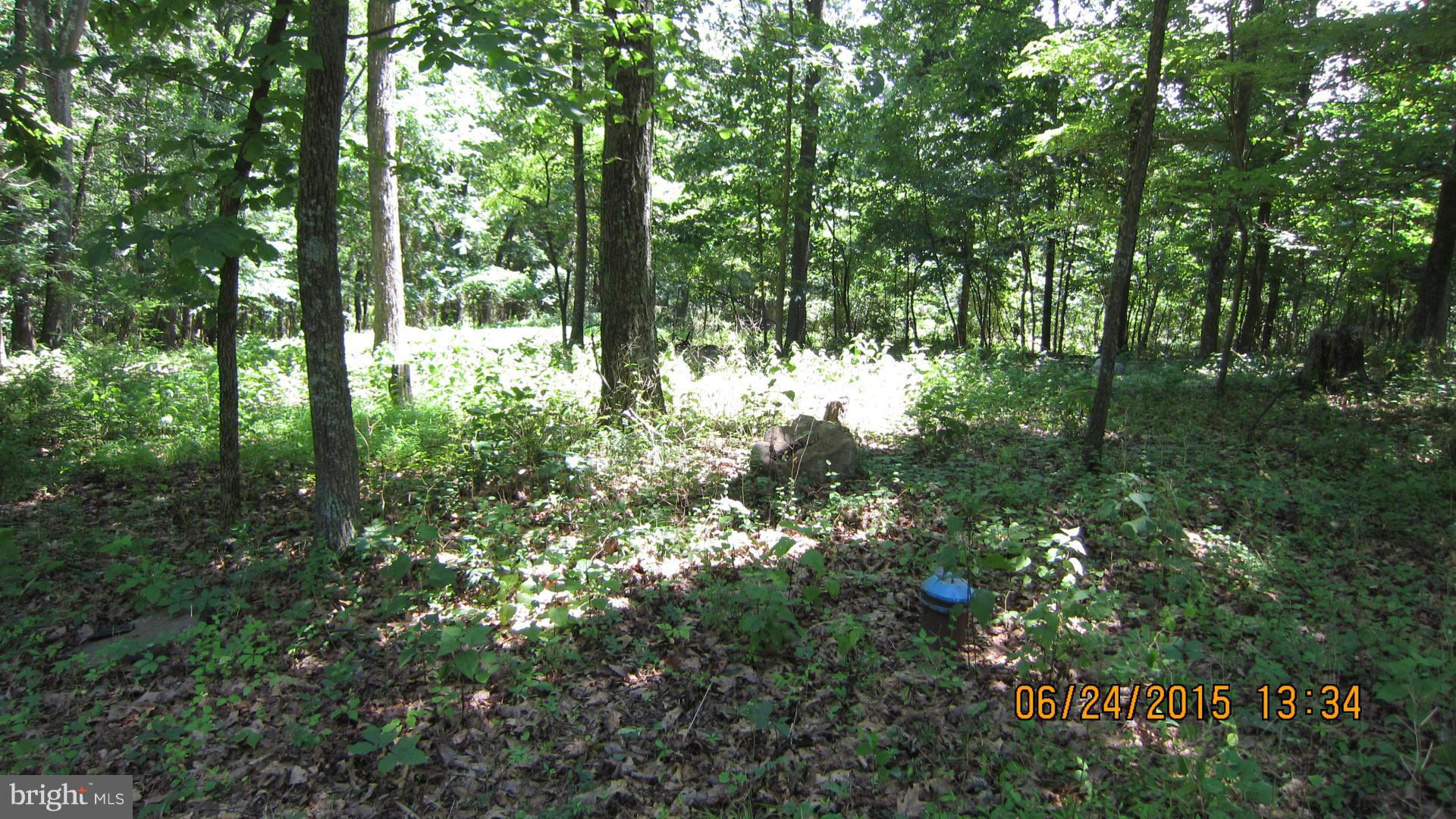 NONE AVAILABLE - Land