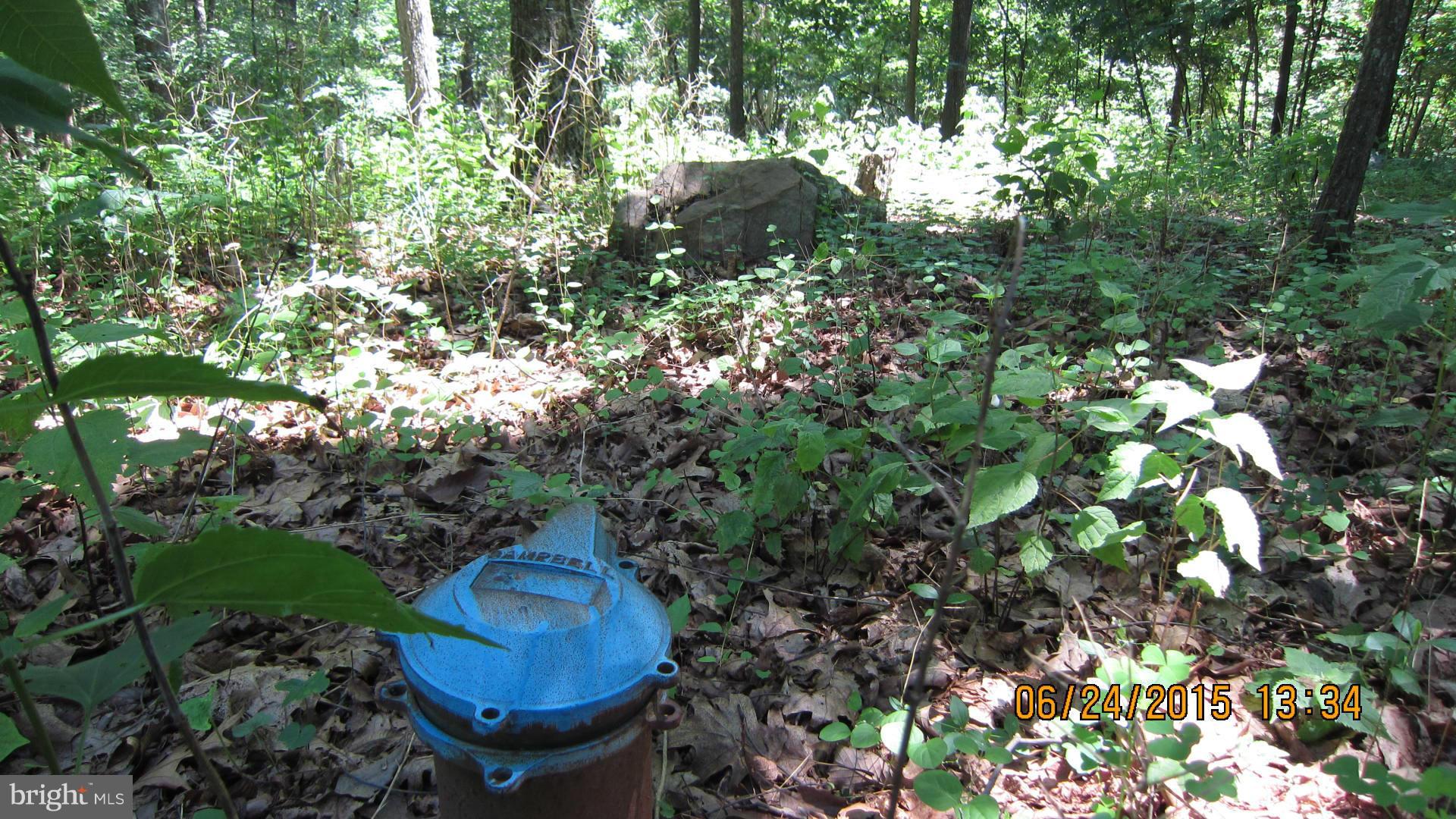 NONE AVAILABLE - Land