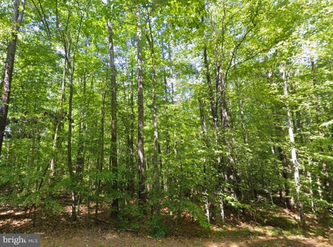Vacant Land For Sale - 8944 Jessie Dupont Memorial Highway<br/> Northumberland County, KILMARNOCK, VA 22482