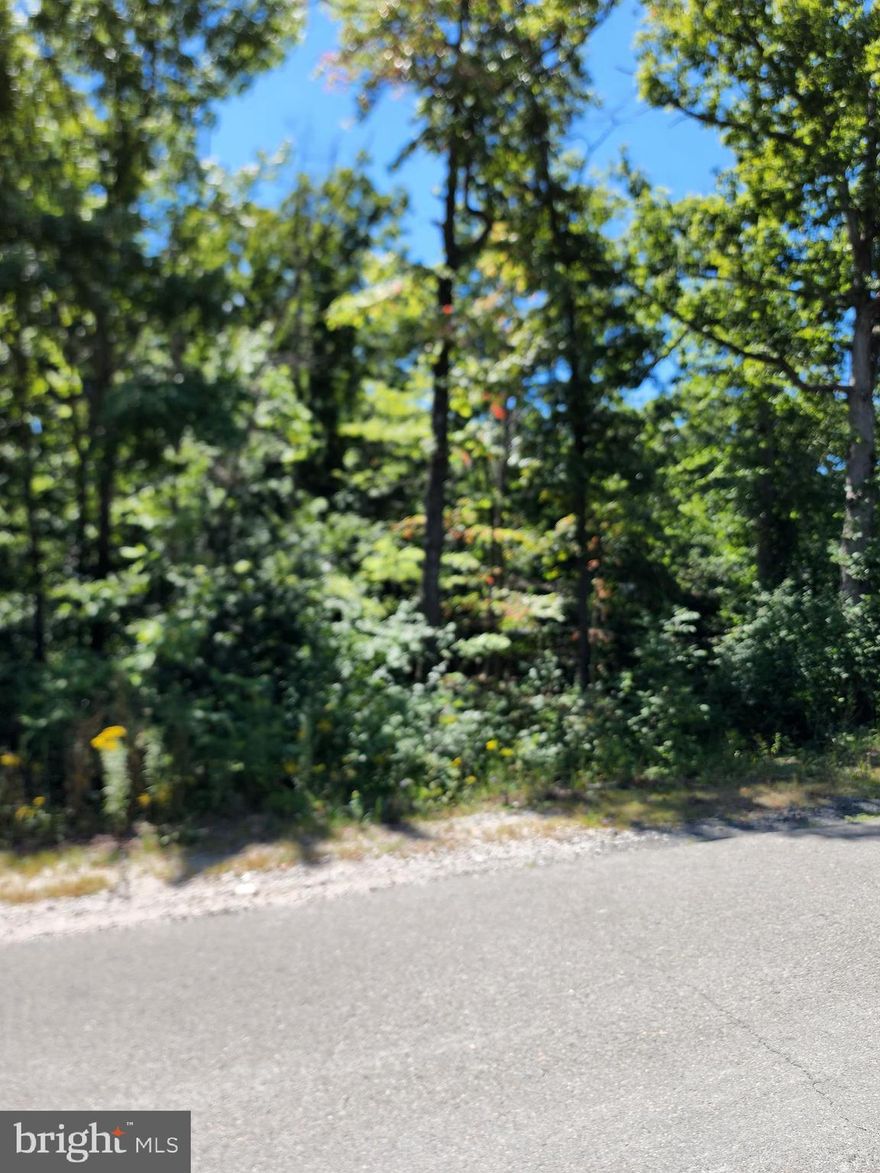 5214 Davis Ford – Zoned A-1, Long Range Land Use, POS


 5051 Asdee Lane -  Zoned A-1, Long Range Land Use, POS