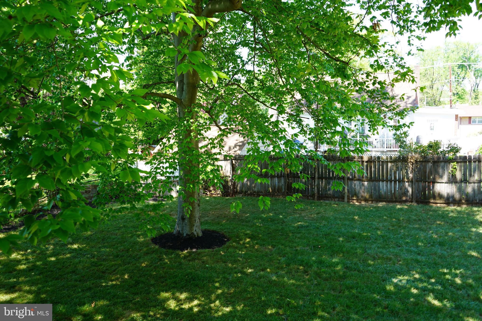 FOREST HEIGHTS - Residential