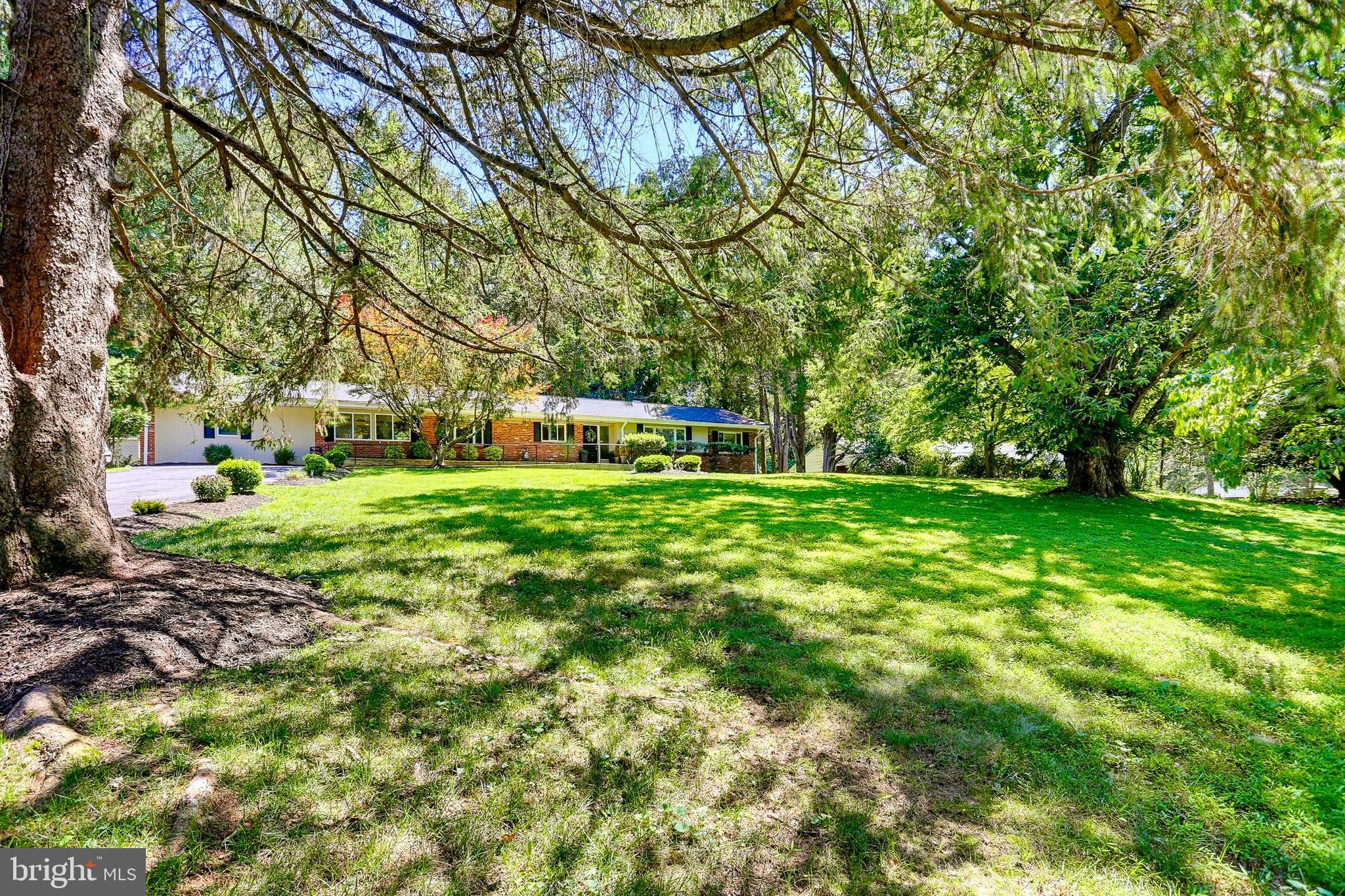 515 APPLE GROVE ROAD