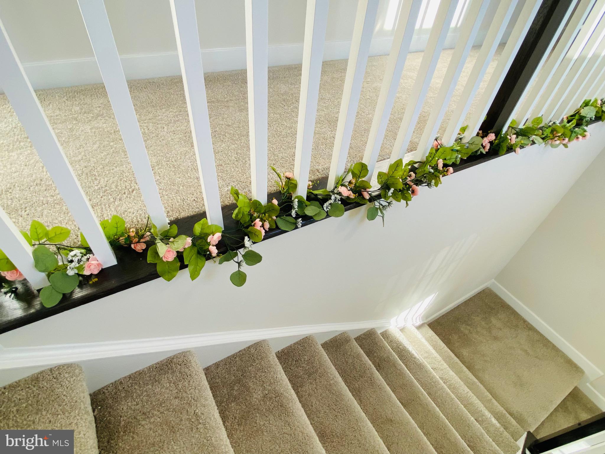 CANTER CREEK - Residential Lease