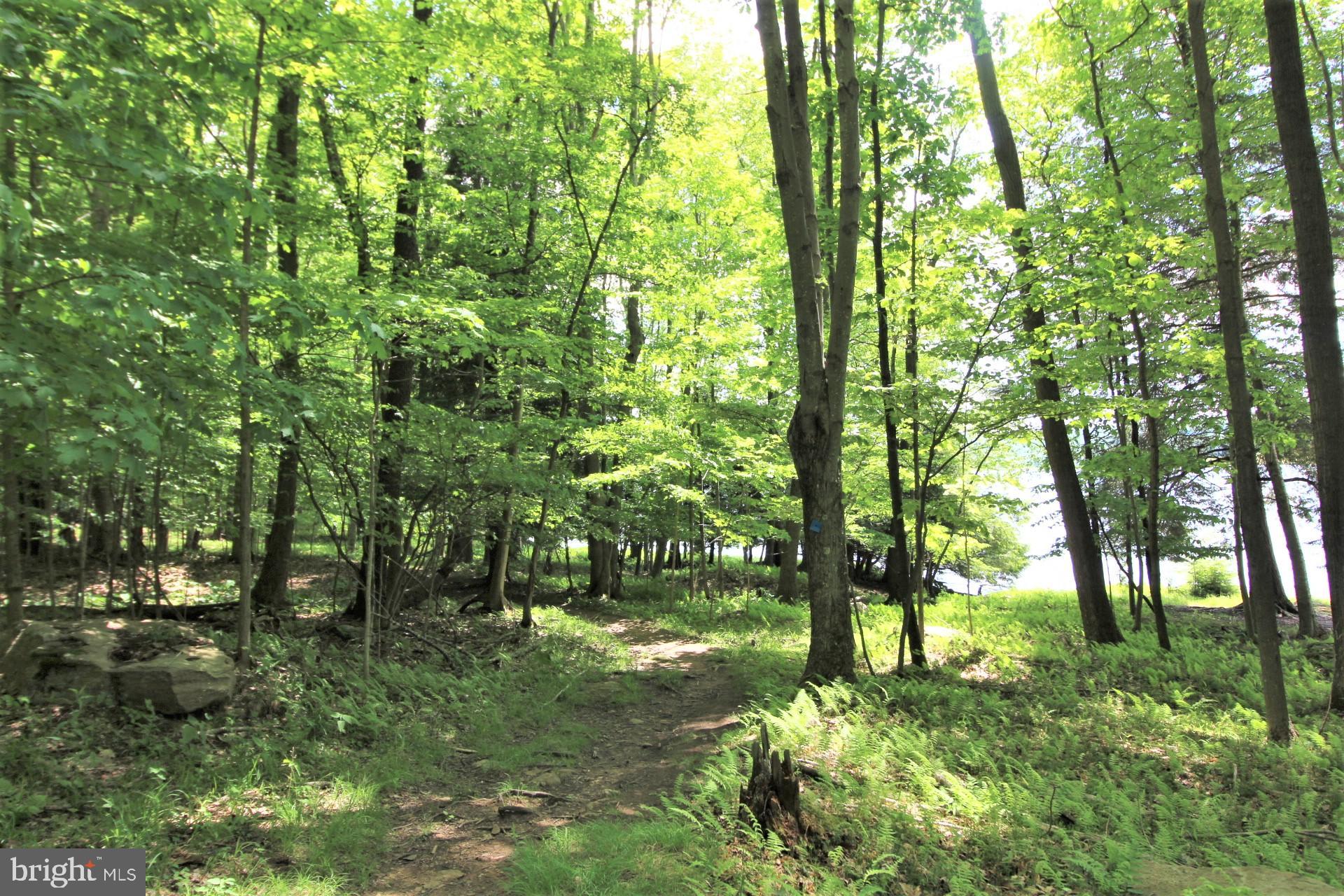 ALPINE LAKE  RESORT - Residential