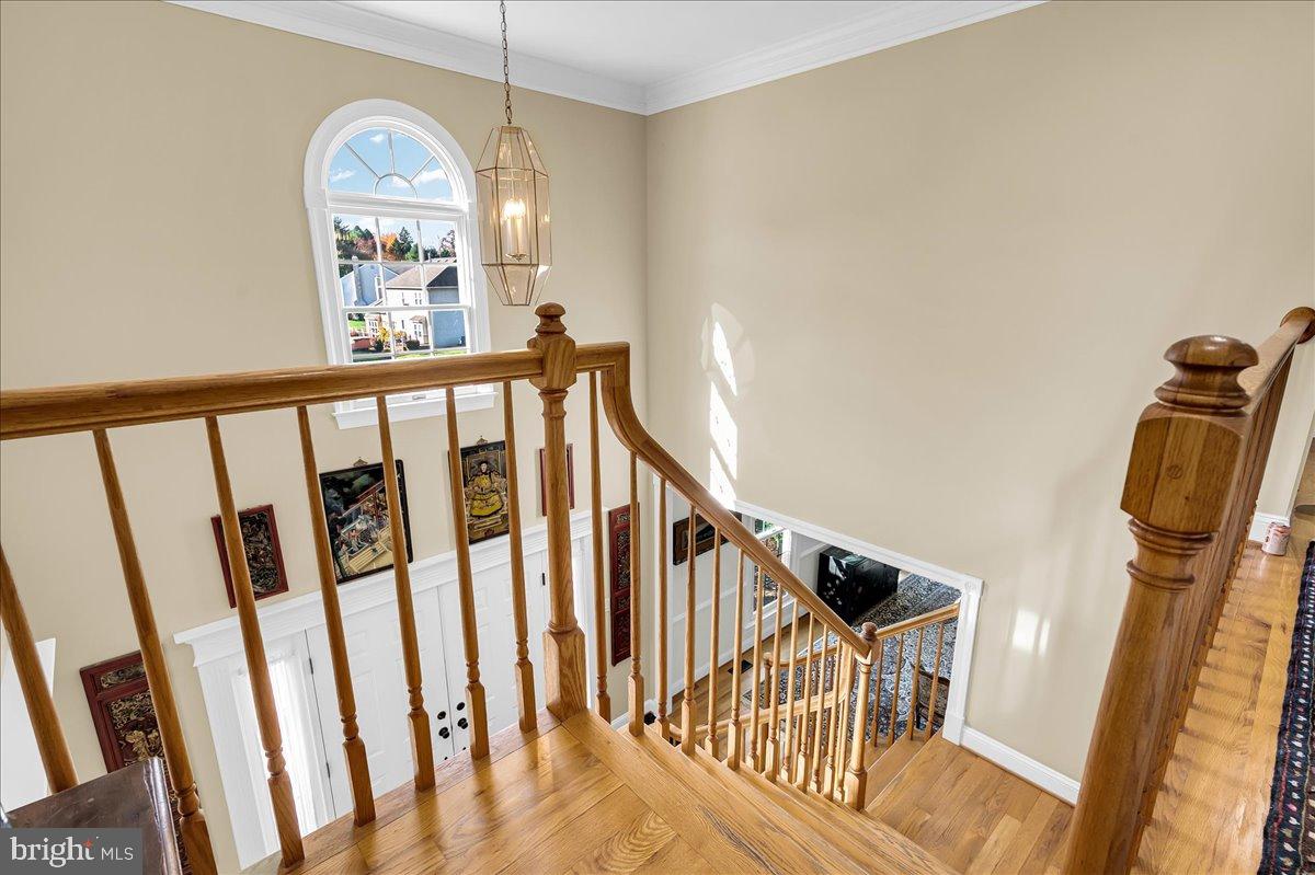 THORNBURY HUNT - Residential