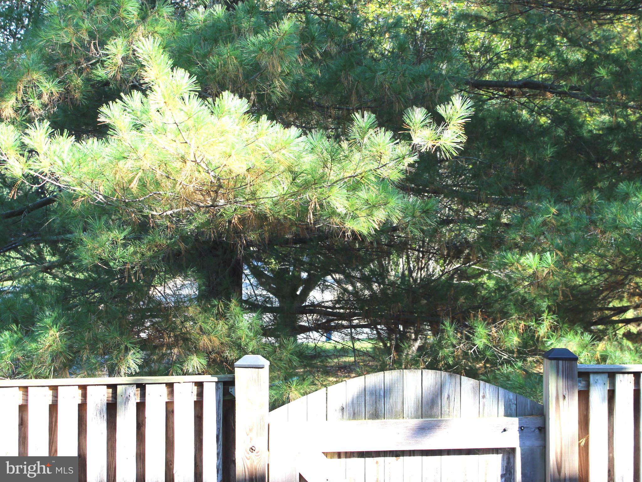 OLD FIELDS - Residential