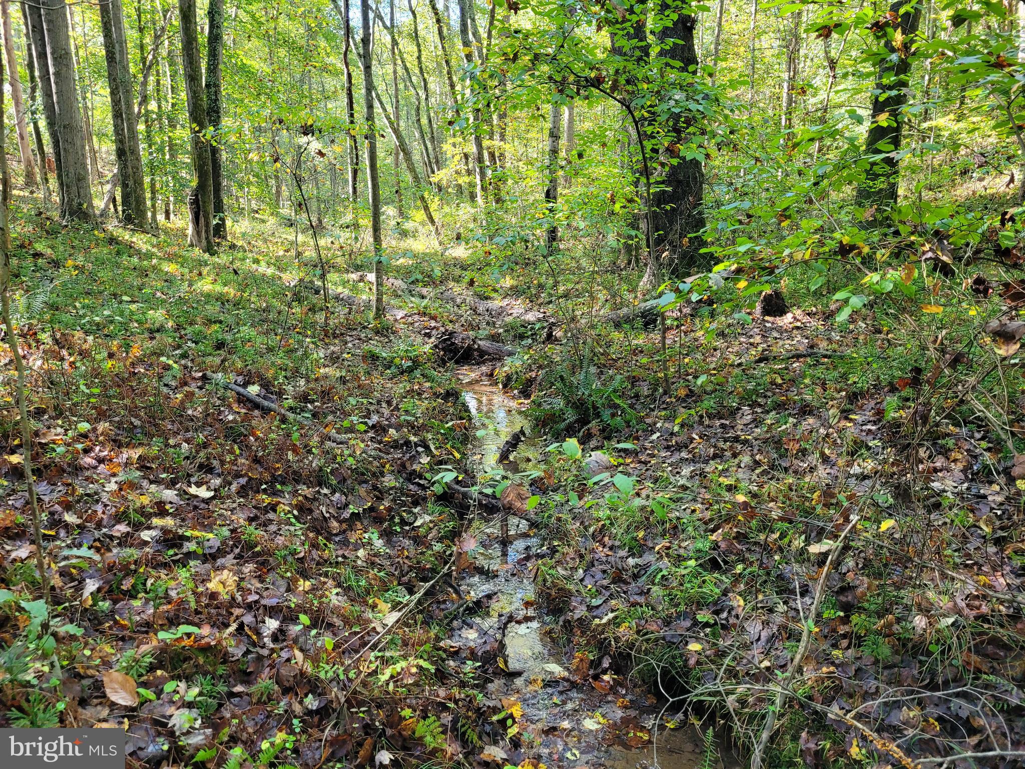 TAMARACK RIVER FARMS - Land