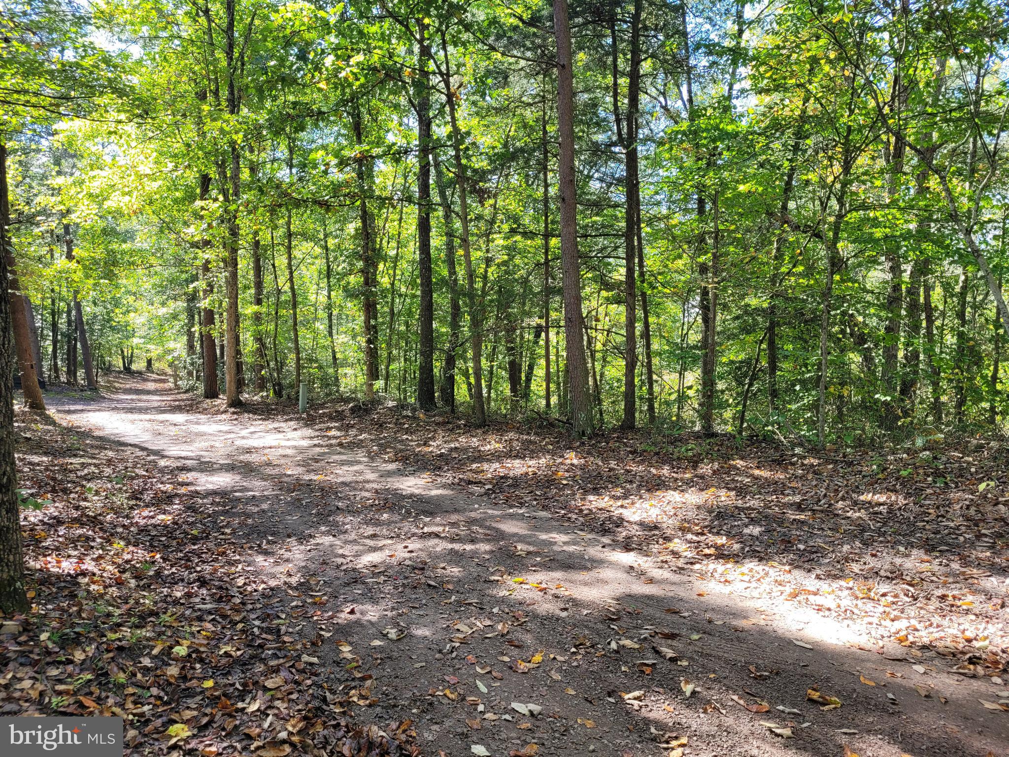 TAMARACK RIVER FARMS - Land