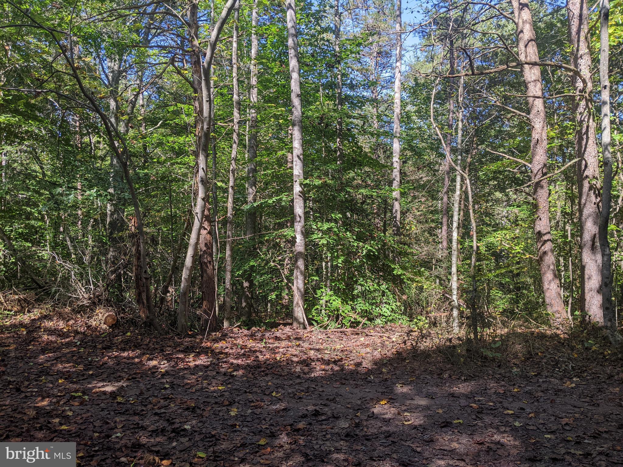 TAMARACK RIVER FARMS - Land