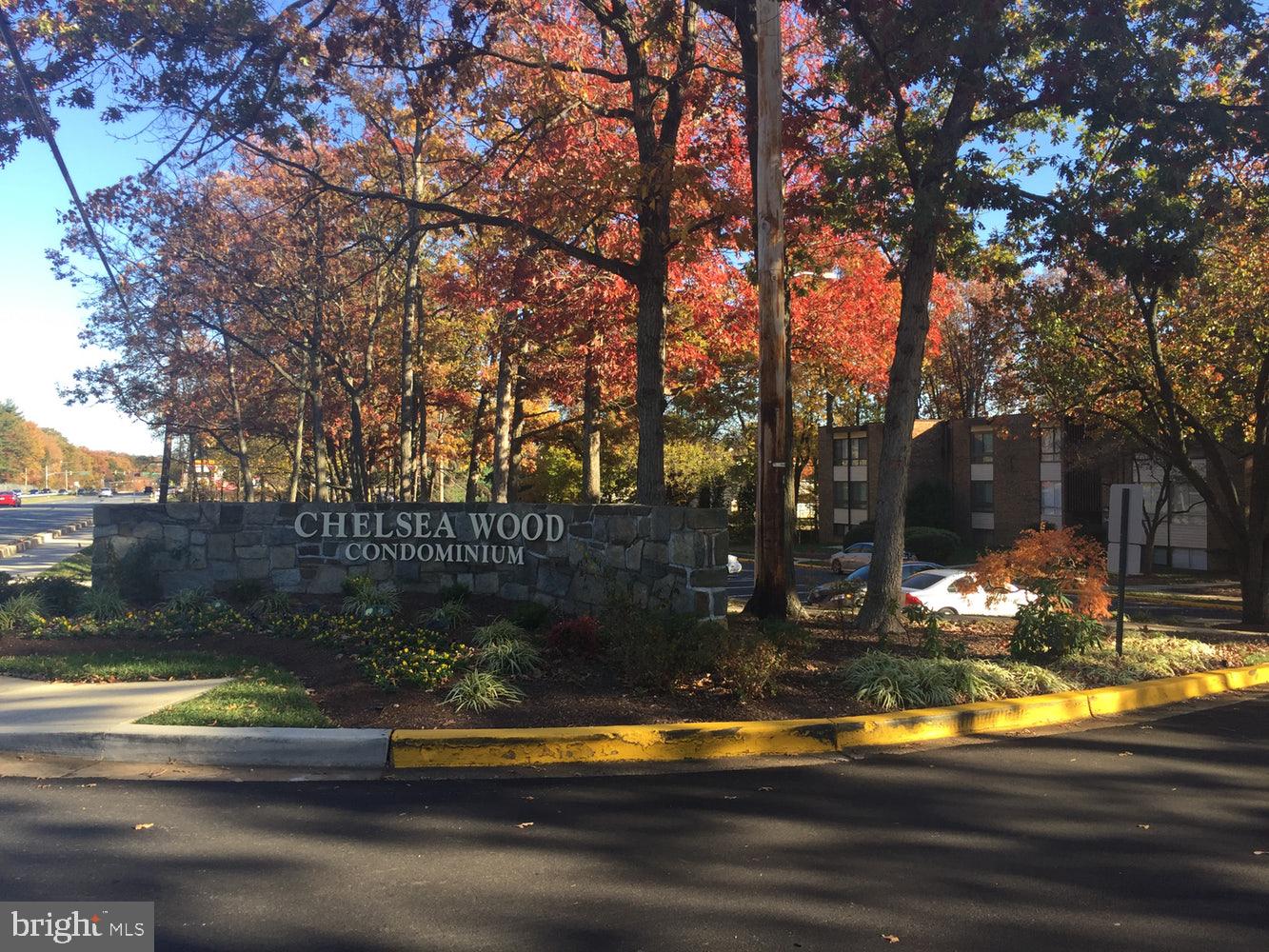 CHELSEA WOODS CONDO - Residential