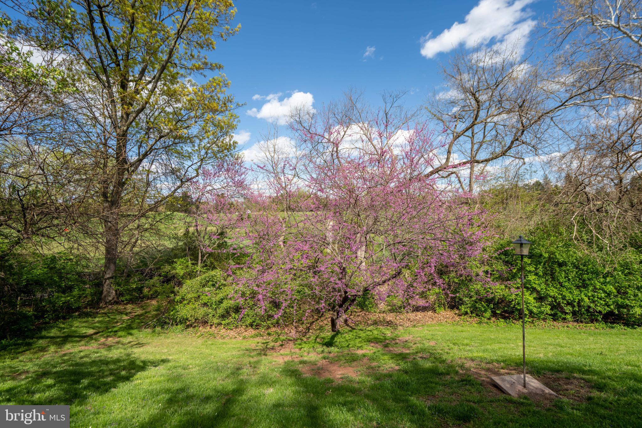 STERLING  PARK - Residential