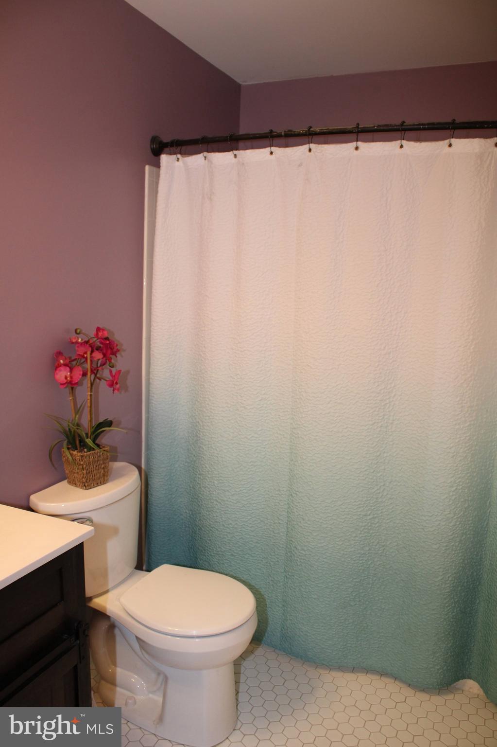 HALETHORPE - Residential Lease