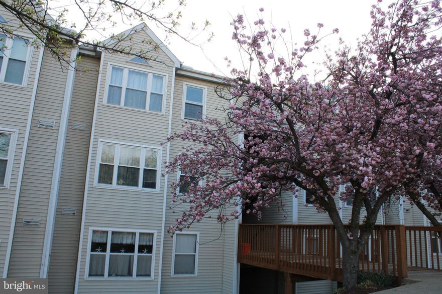 Welcome to 20 Deer Run Ct Unit H, located in the heart of Halethorpe, Maryland. This professionally maintained two-bedroom one-bath residence offers a thoughtfully designed living space filled with comfort and convenience.

Step inside to a warm and inviting atmosphere. The living area features wall to wall carpeting and a wide window that allows an abundance of natural light. The maroon accent wall adds a refined touch to the smooth finish and neutral tones that define the space.

Adjacent to the living area, the separate dining space offers a bright atmosphere with a large window and direct access to the balcony. Step outside to enjoy fresh air and a view of surrounding mature trees that provide a peaceful setting to start or end your day.

The kitchen is both practical and stylish, featuring stainless steel appliances including a refrigerator, dishwasher, and stove with oven. The wood flooring pairs elegantly with granite countertops, and built-in cabinets and drawers provide ample storage. A breakfast bar offers added flexibility, and a pantry enhances the kitchen’s functionality.

The primary bedroom is comfortably sized with wall to wall carpeting, neutral colors, a ceiling fan, and a wide window that looks out over the neighborhood and nearby cherry blossom trees. The second bedroom also includes carpeting, natural light, and a window, making it ideal for guests, a home office, or additional living space.

The bathroom is well-appointed with a tiled bath, a dual-sink vanity, a wide mirror, and soft muted orchid-toned walls with a smooth finish. In-unit laundry includes a washer and dryer for added convenience. Extra storage space is also available within the unit.

Outdoors, the front yard features a charming footbridge, paved sidewalks, and seasonal cherry blossom trees that enhance the curb appeal. Residents also benefit from 24 hour emergency maintenance and access to an online tenant portal. Street parking is available.

This property offers a complete residential experience that balances day-to-day ease with access to local amenities and commuting routes.

Nearby Attractions and Commute Times

Patapsco Valley State Park – 9 minutes

Arbutus Library – 5 minutes

UMBC (University of Maryland Baltimore County) – 7 minutes

Guinness Open Gate Brewery – 11 minutes

BWI Trail – 13 minutes

Nearby Highways

Interstate 695 – 6 minutes

Interstate 95 – 8 minutes

No pets allowed.

Agency disclosed upon initial contact. Agent conducts showings; BMG manages follow-up, paperwork, move-in post-approval. Vouchers work with BMG directly.