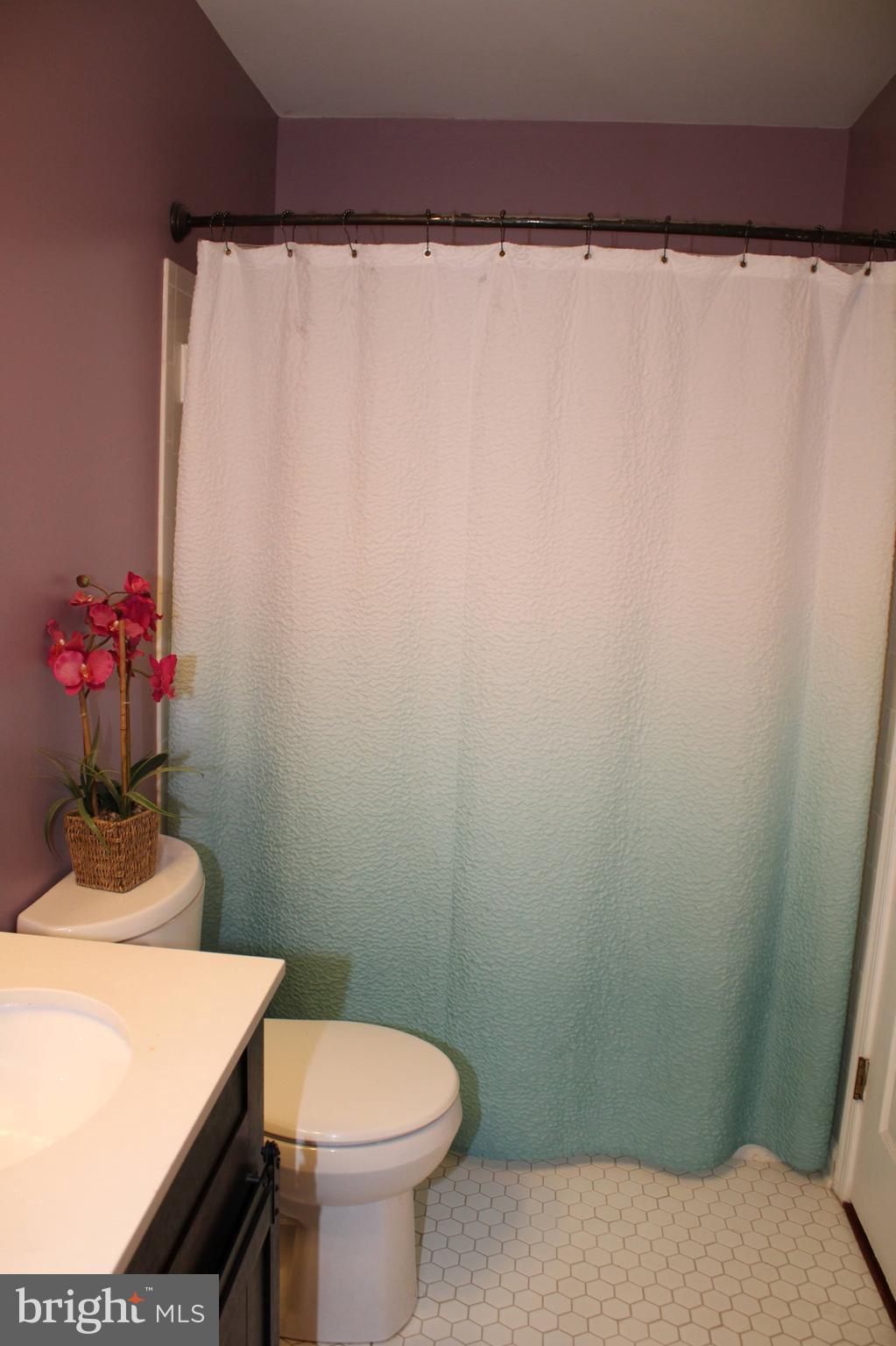 HALETHORPE - Residential Lease