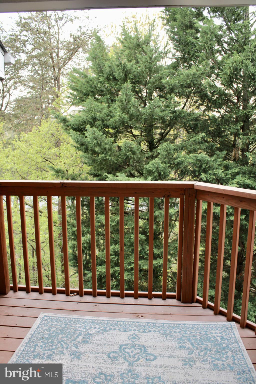 HALETHORPE - Residential Lease