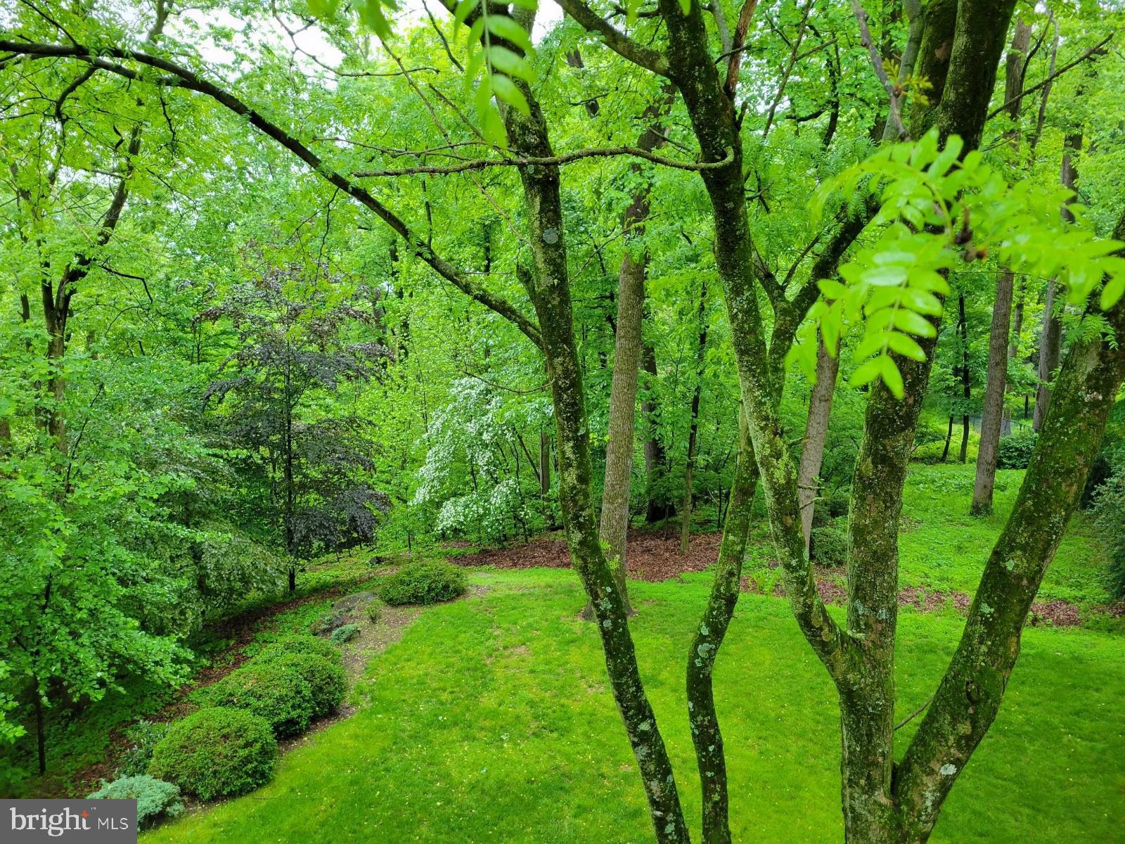 PENNWOOD - Residential
