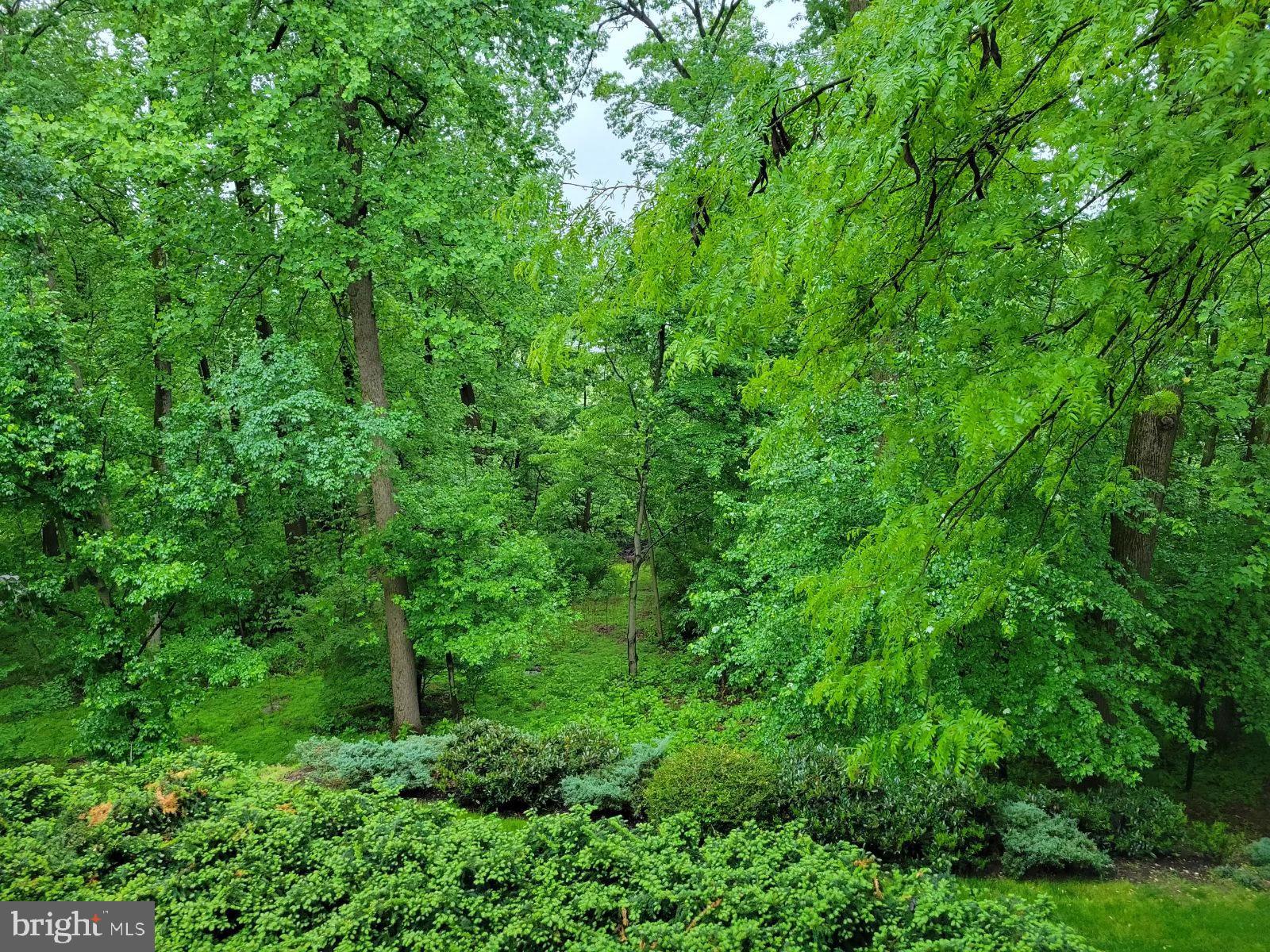 PENNWOOD - Residential