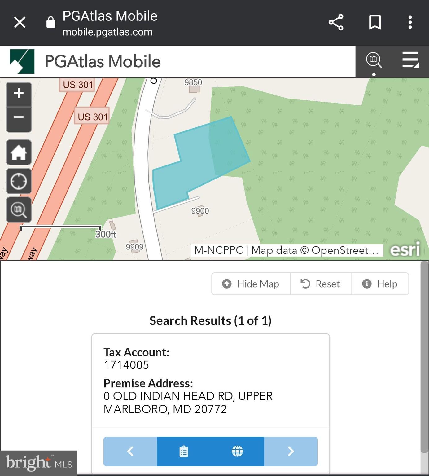 Main image without alt text