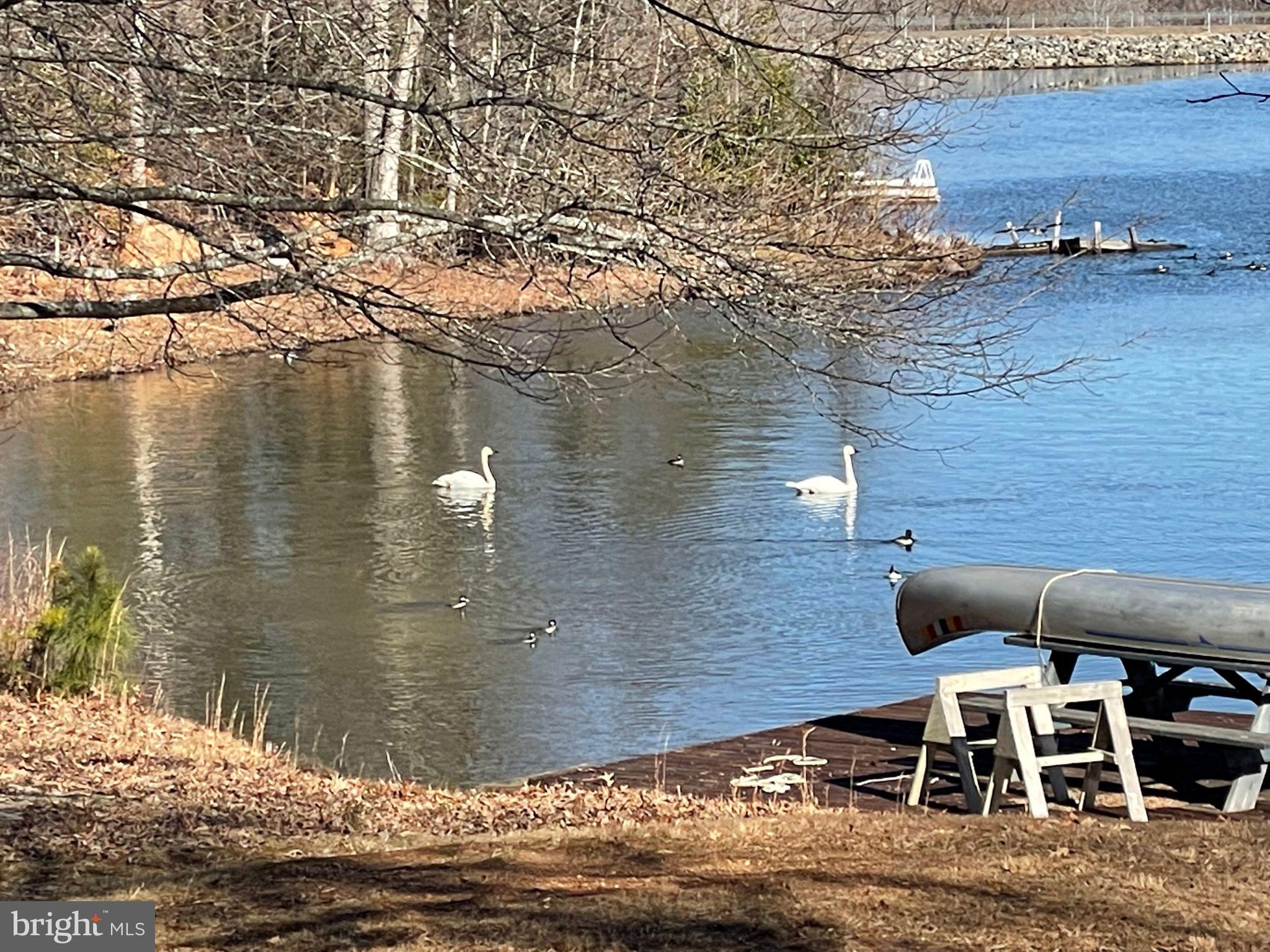 LAKE LAND OR - Residential