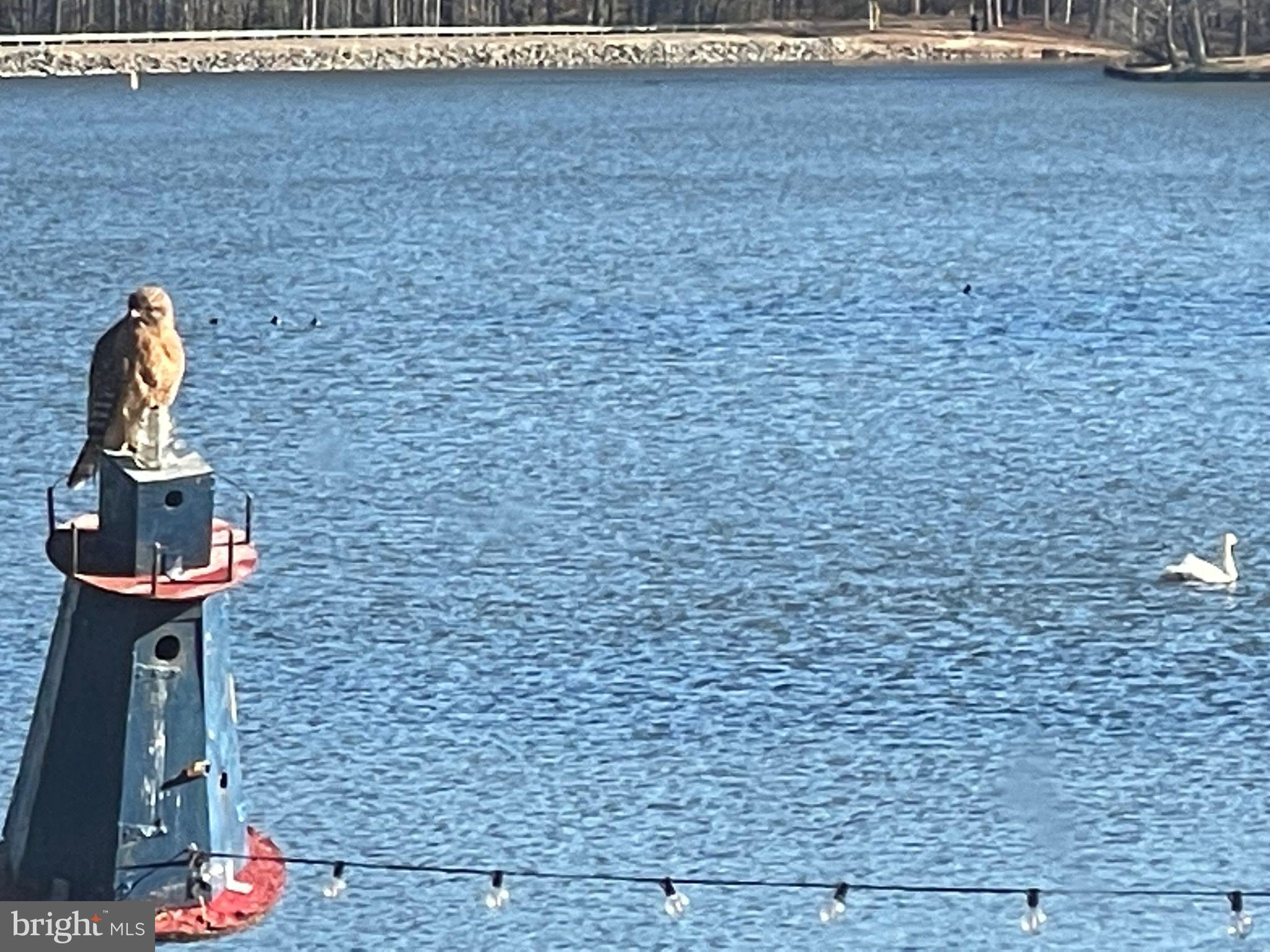 LAKE LAND OR - Residential