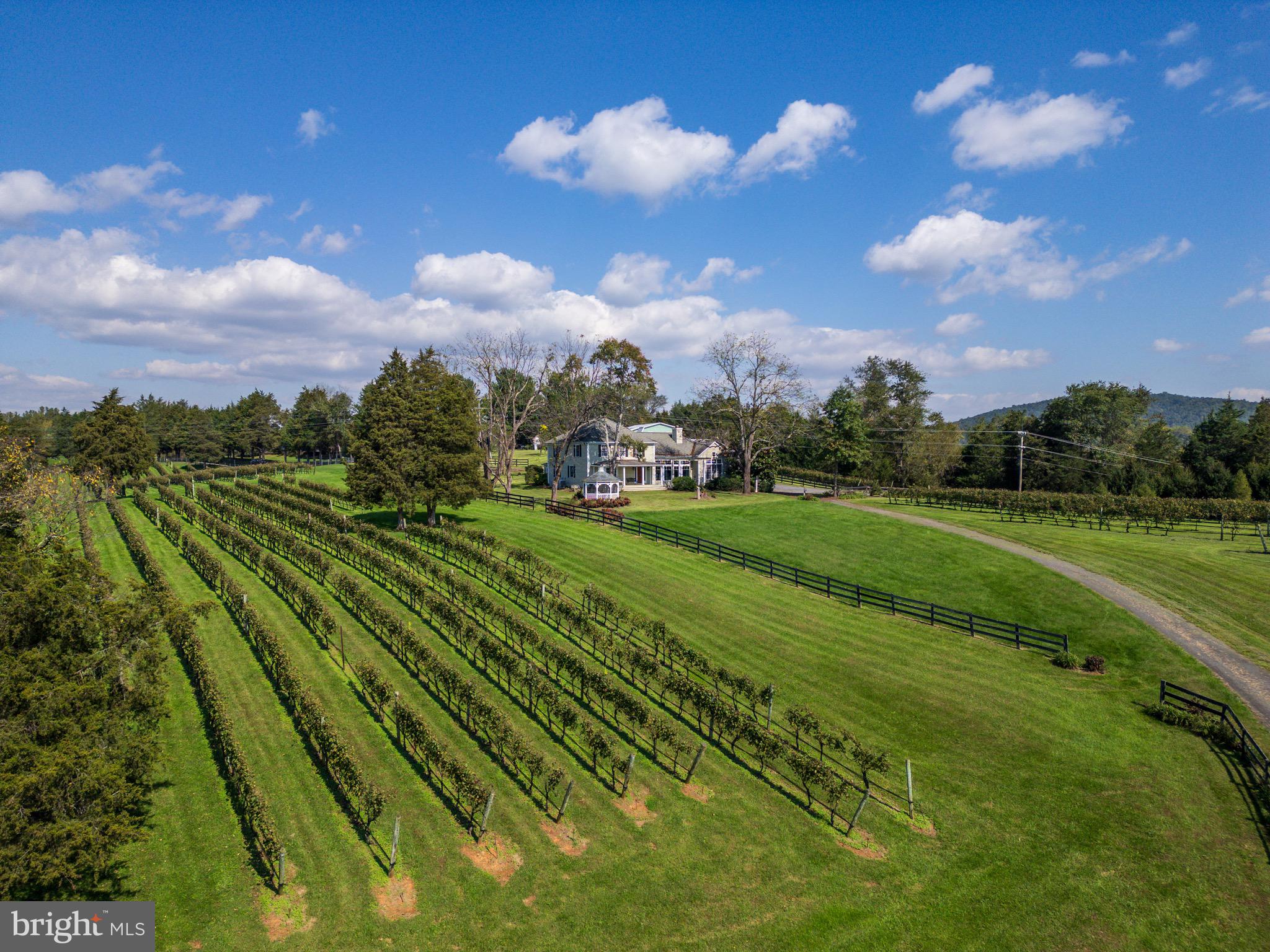 CARTER'S RUN EST - Farm