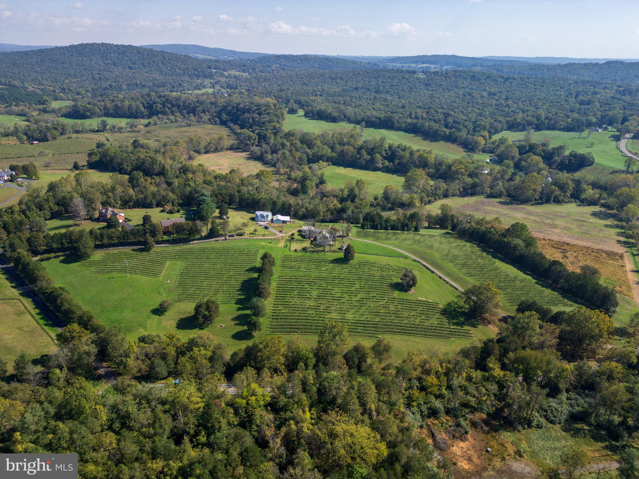 CARTER'S RUN EST - Farm