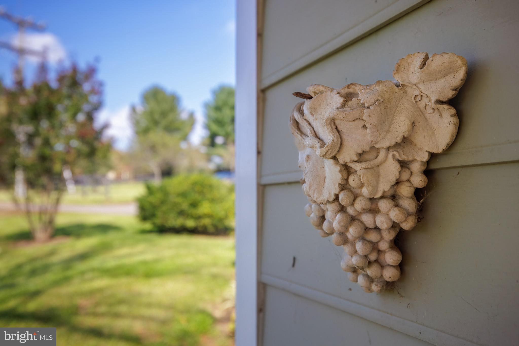 CARTER'S RUN EST - Farm