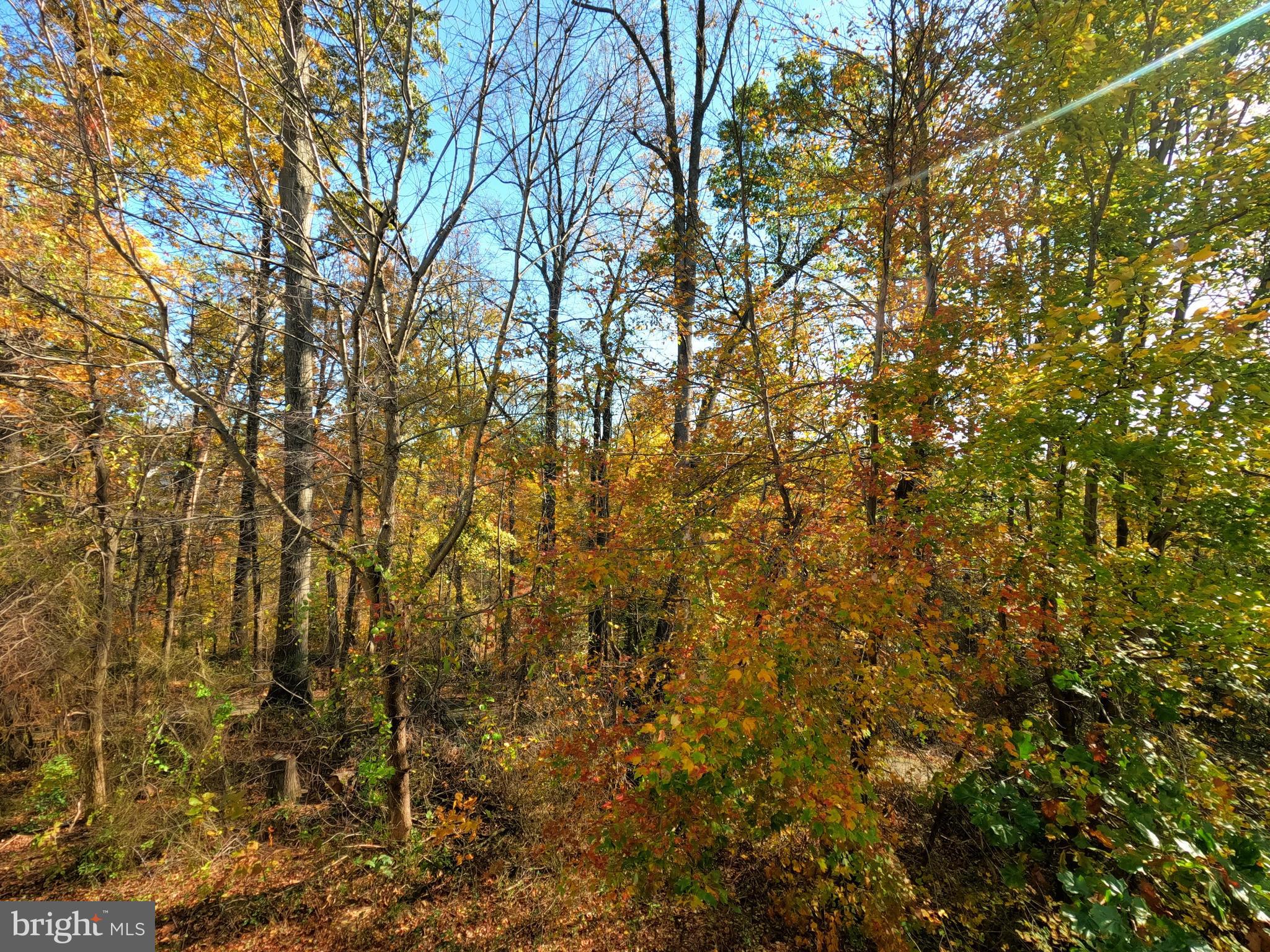 FAIRFAX CENTER LANDBAY - Residential Lease