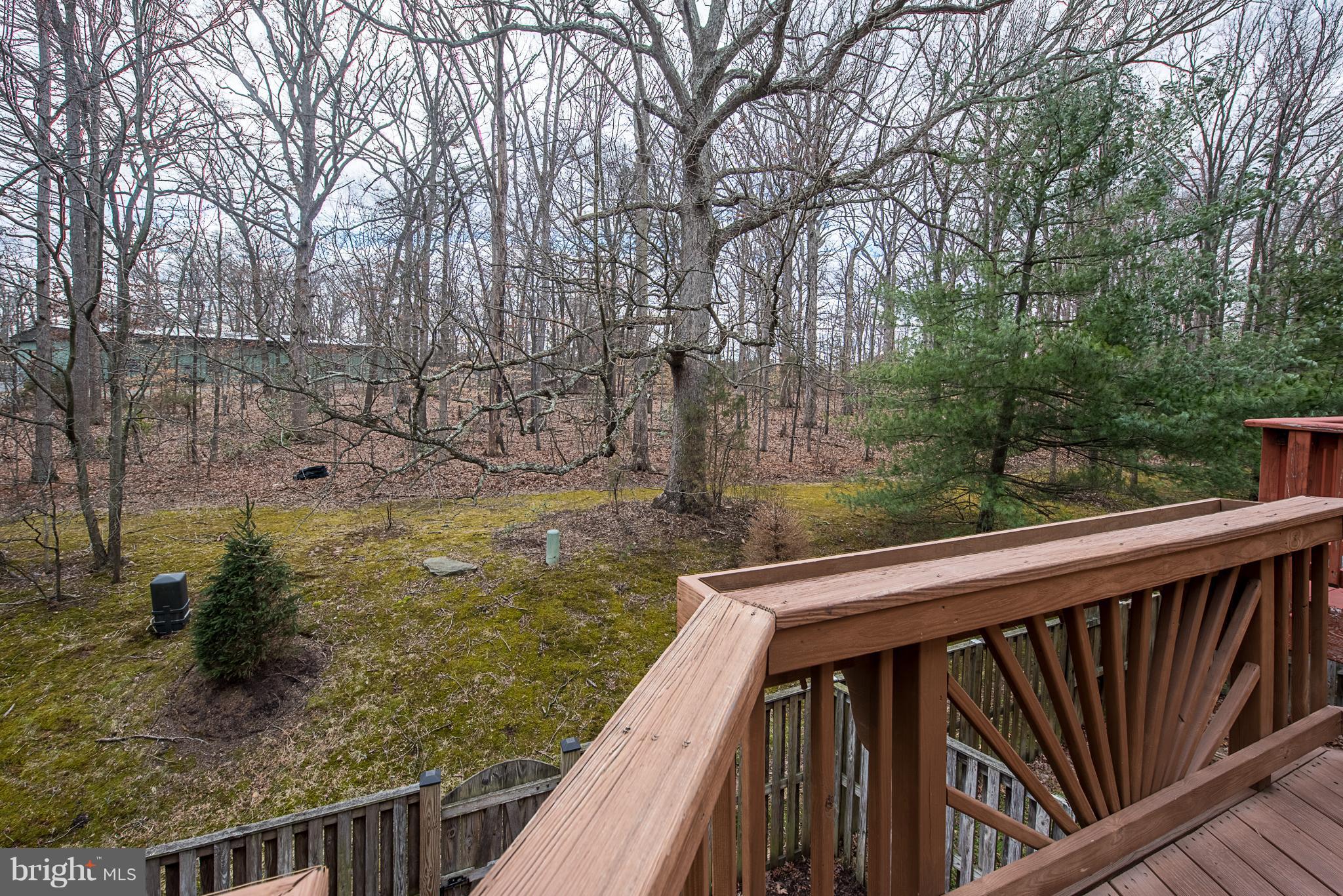 POTOMAC TERRACE - Residential