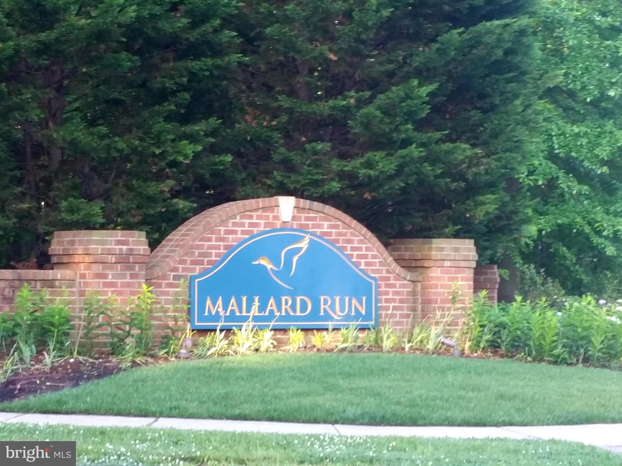MALLARD RUN - Residential