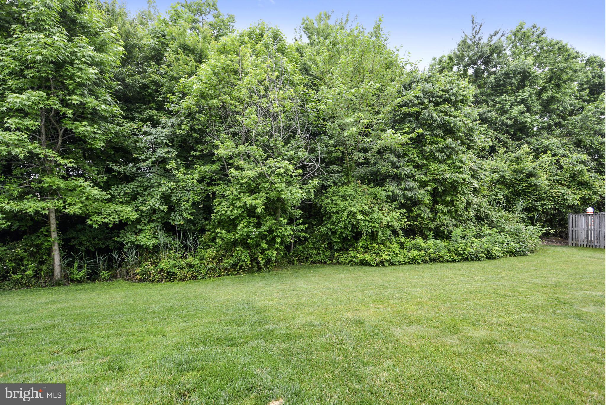 MALLARD RUN - Residential