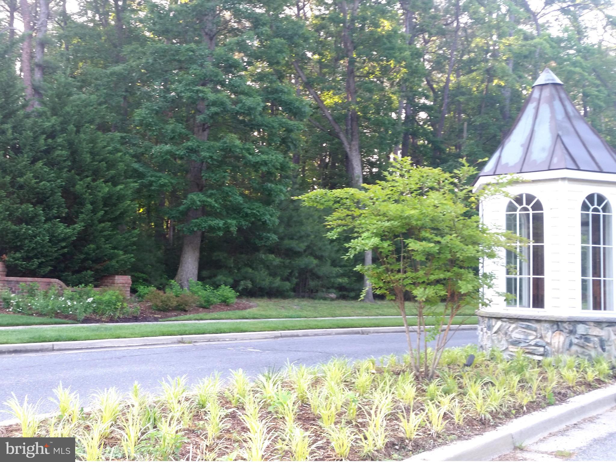 MALLARD RUN - Residential