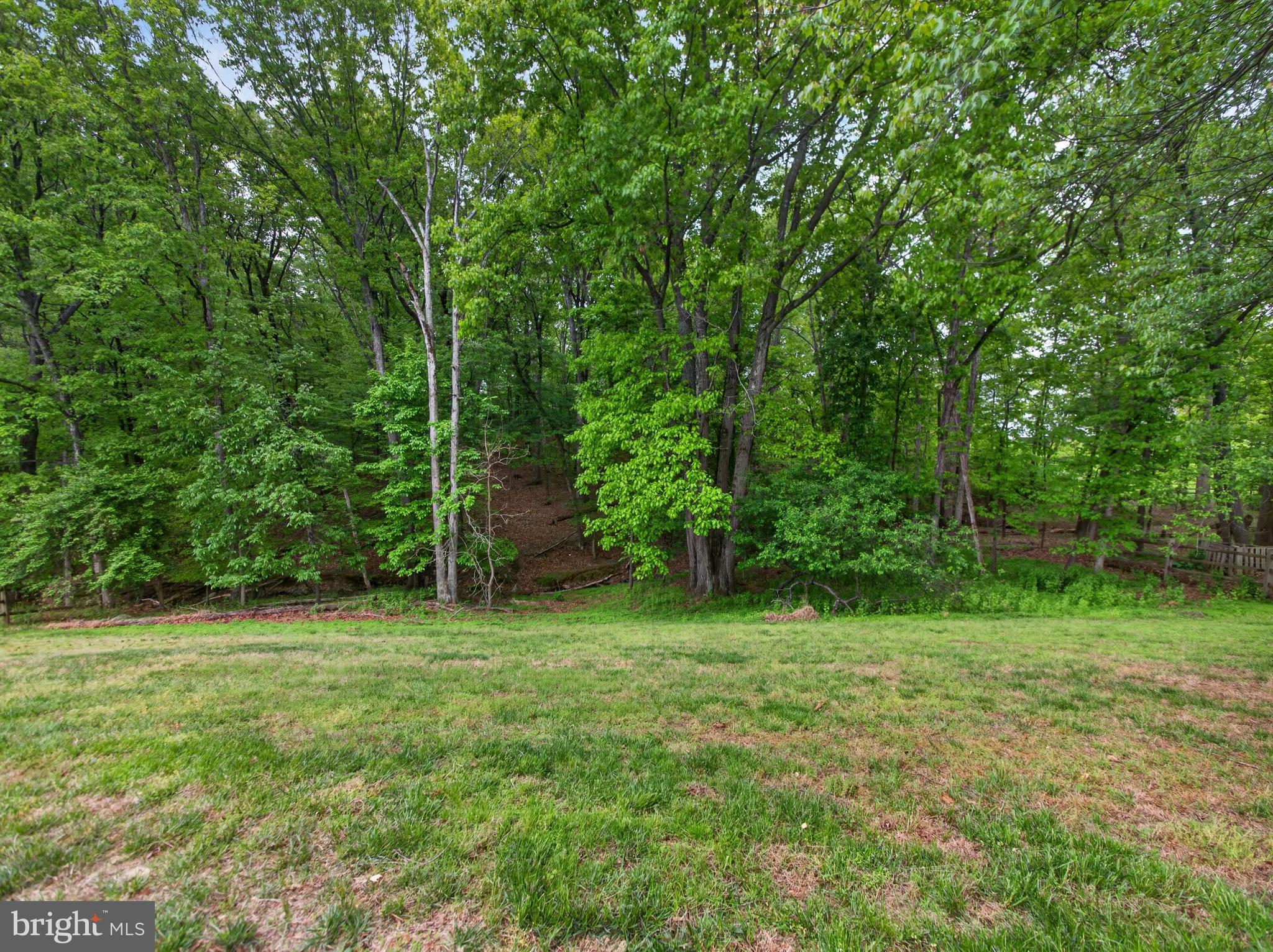 POTOMAC CHASE - Residential