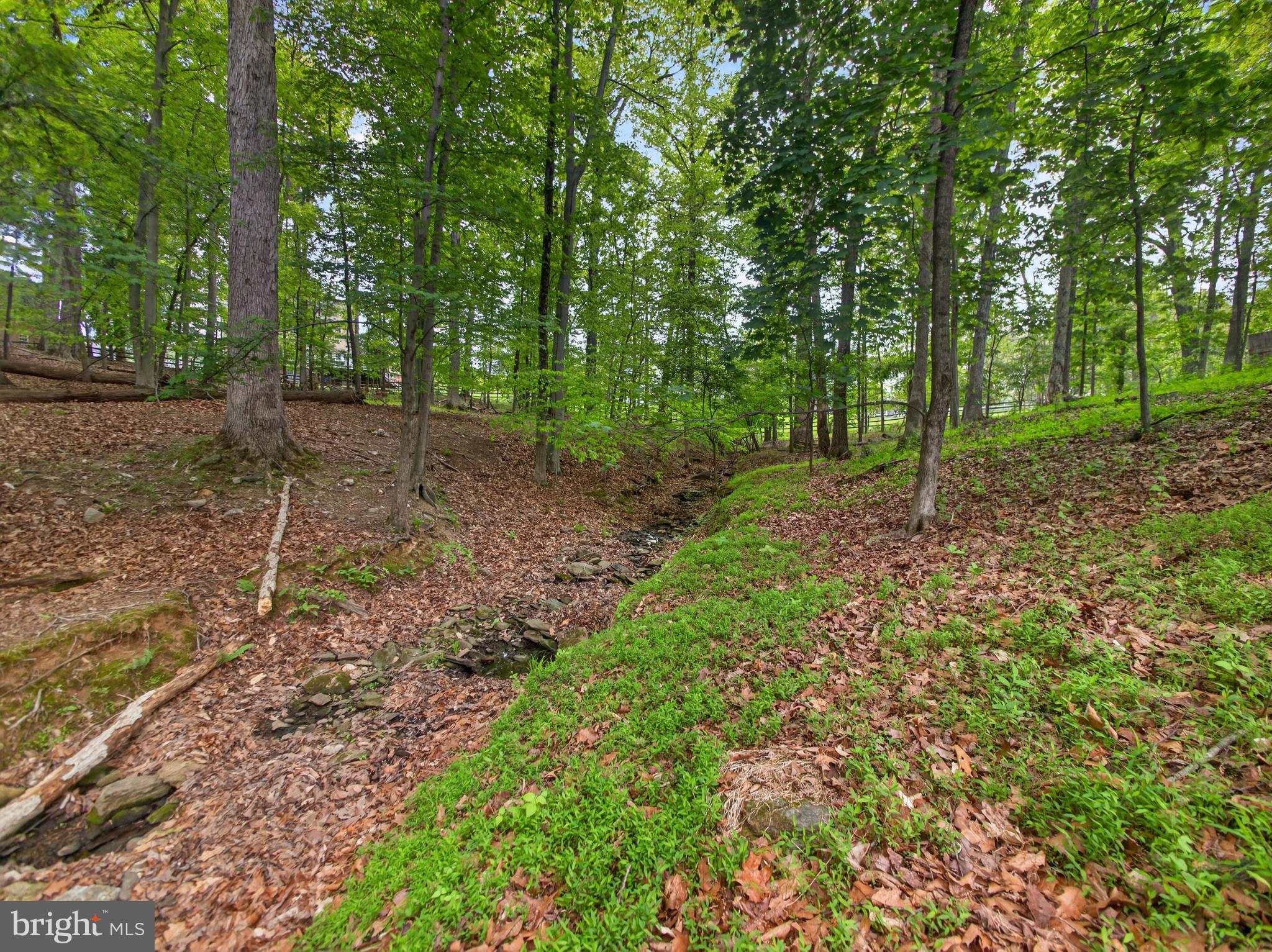 POTOMAC CHASE - Residential