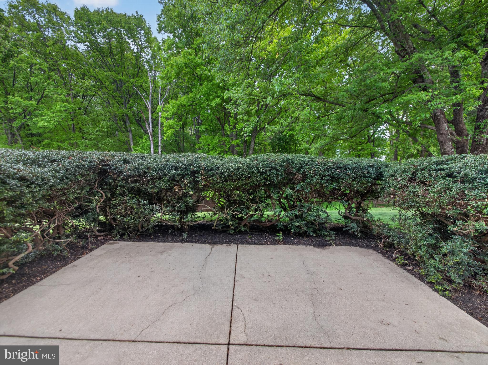 POTOMAC CHASE - Residential
