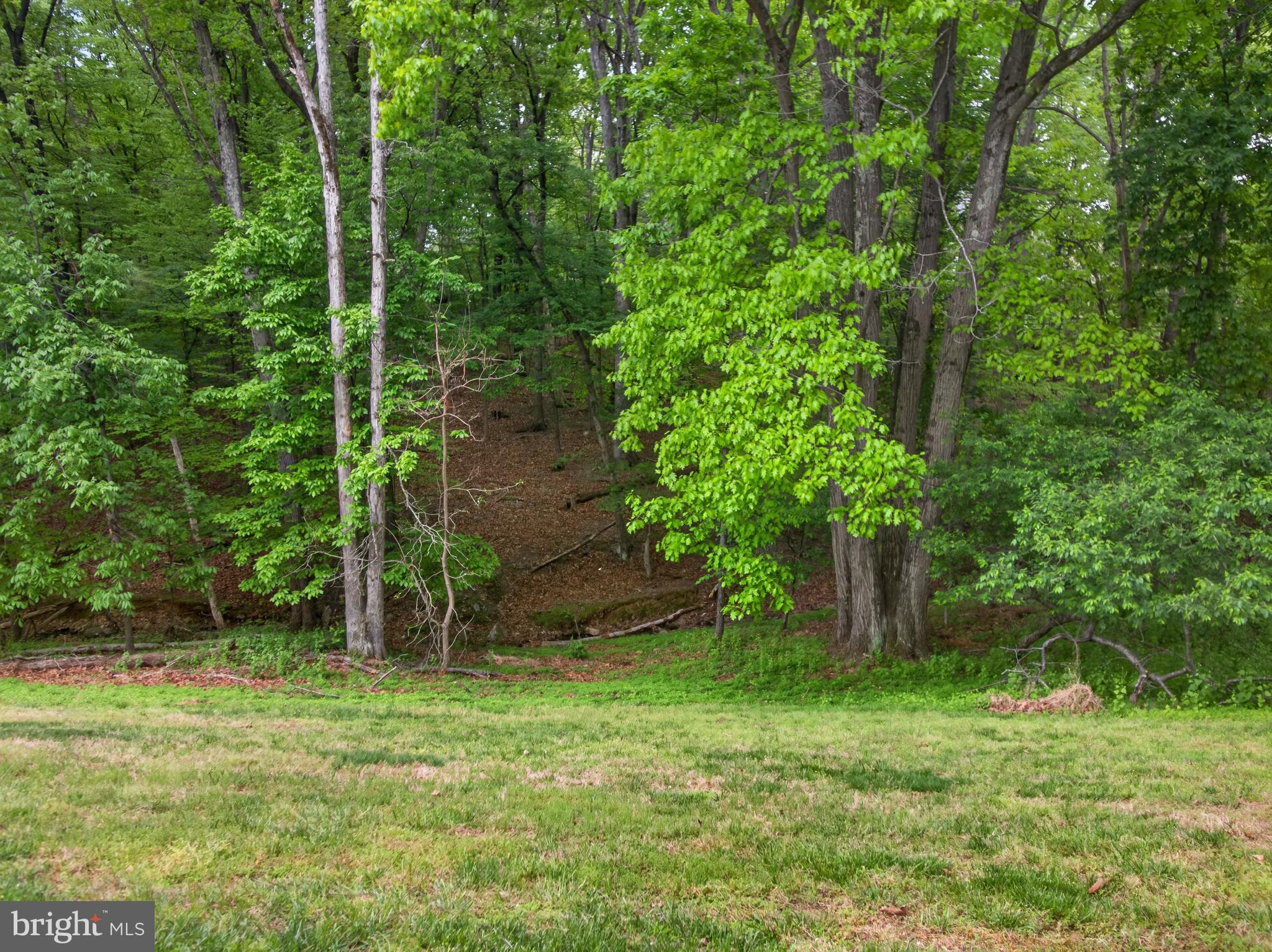 POTOMAC CHASE - Residential